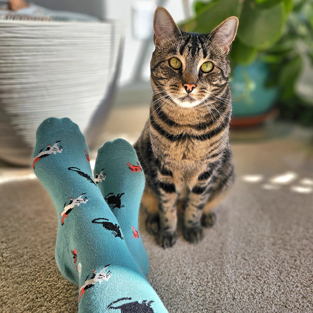 Socks that Save Cats - Image 4