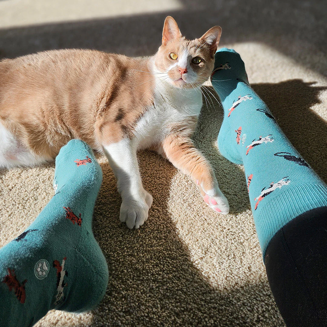 Socks that Save Cats - Image 5