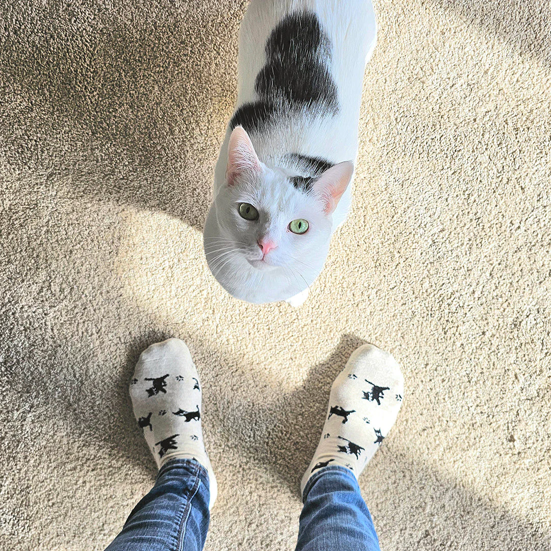 Socks that Save Cats - Image 6