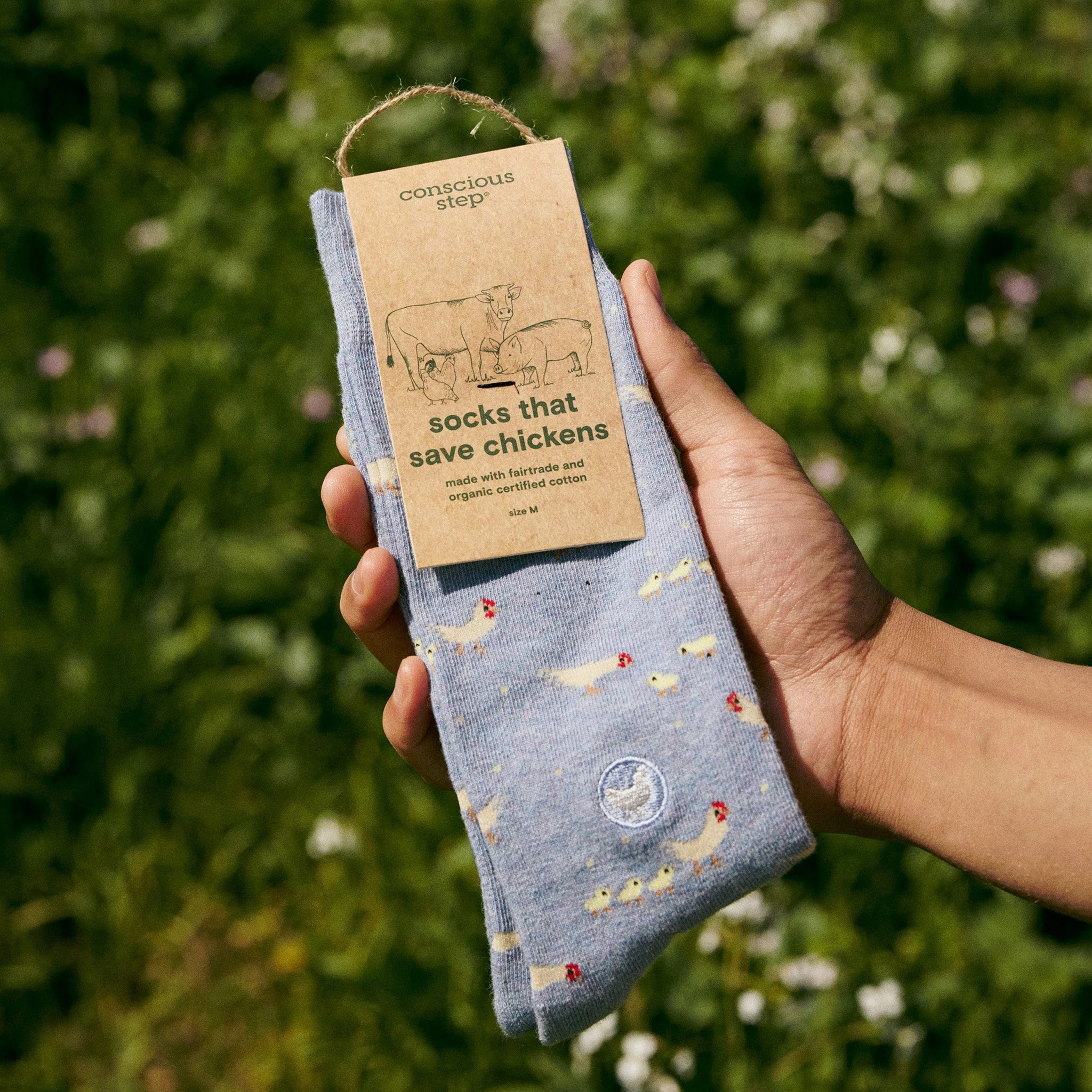 Socks that Save Chickens - Image 2