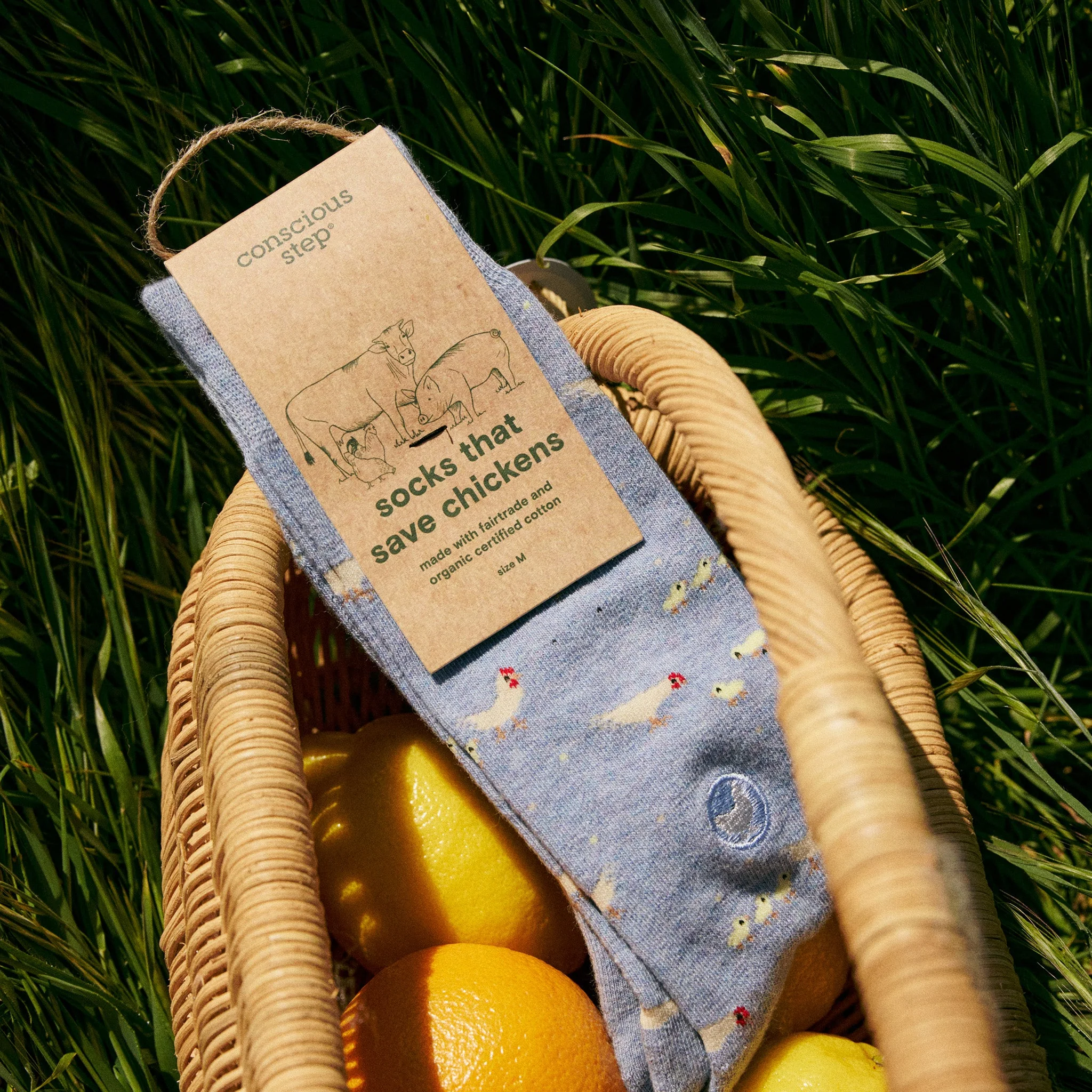 Socks that Save Chickens - Image 3
