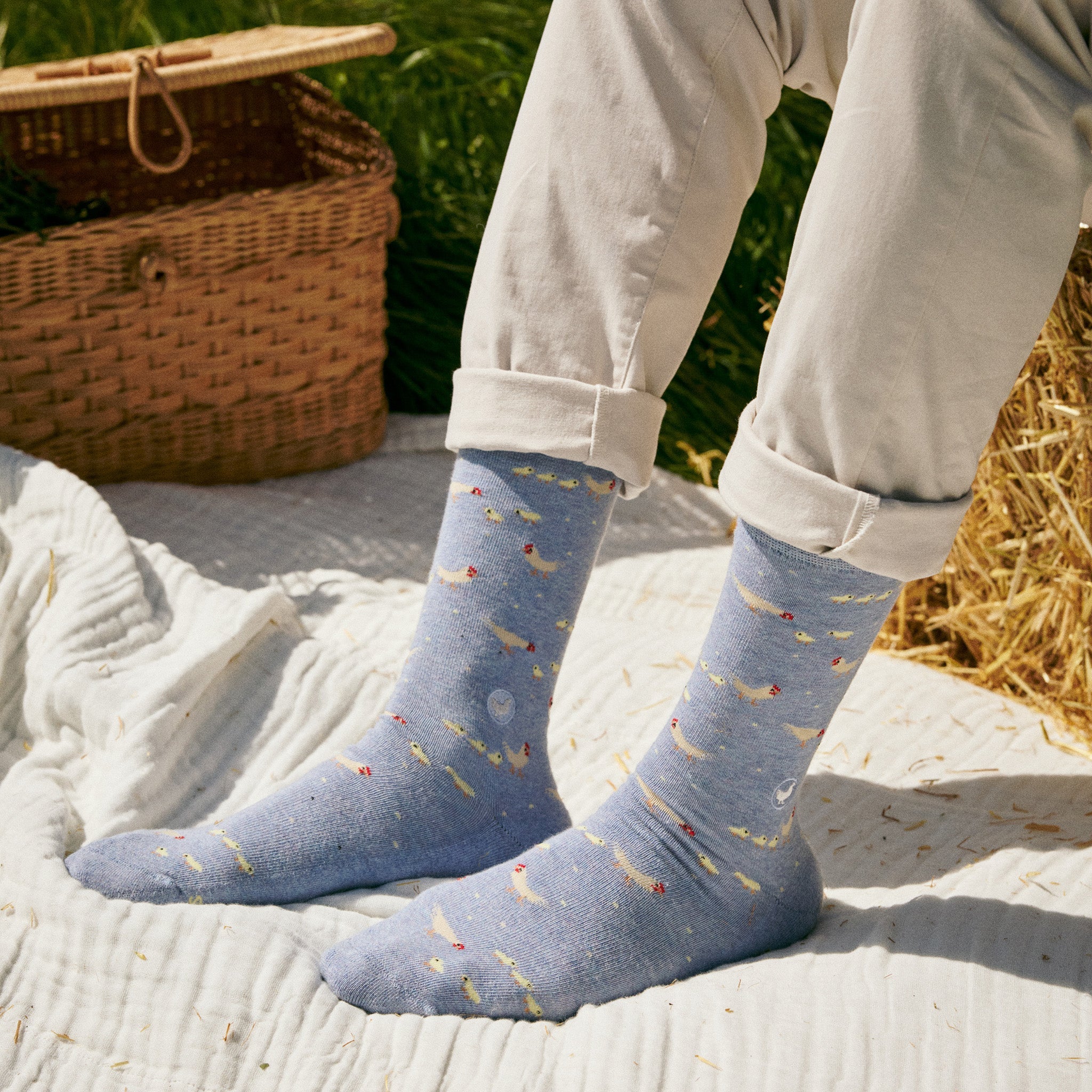 Socks that Save Chickens - Image 4