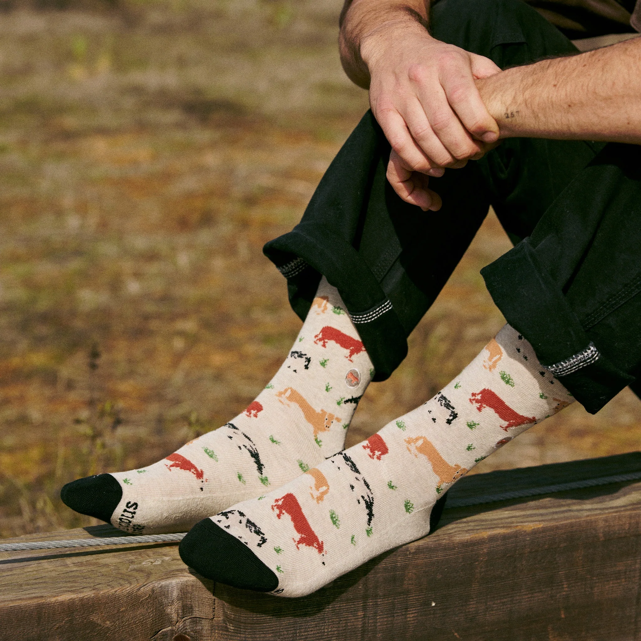 Socks that Save Cows - Image 6