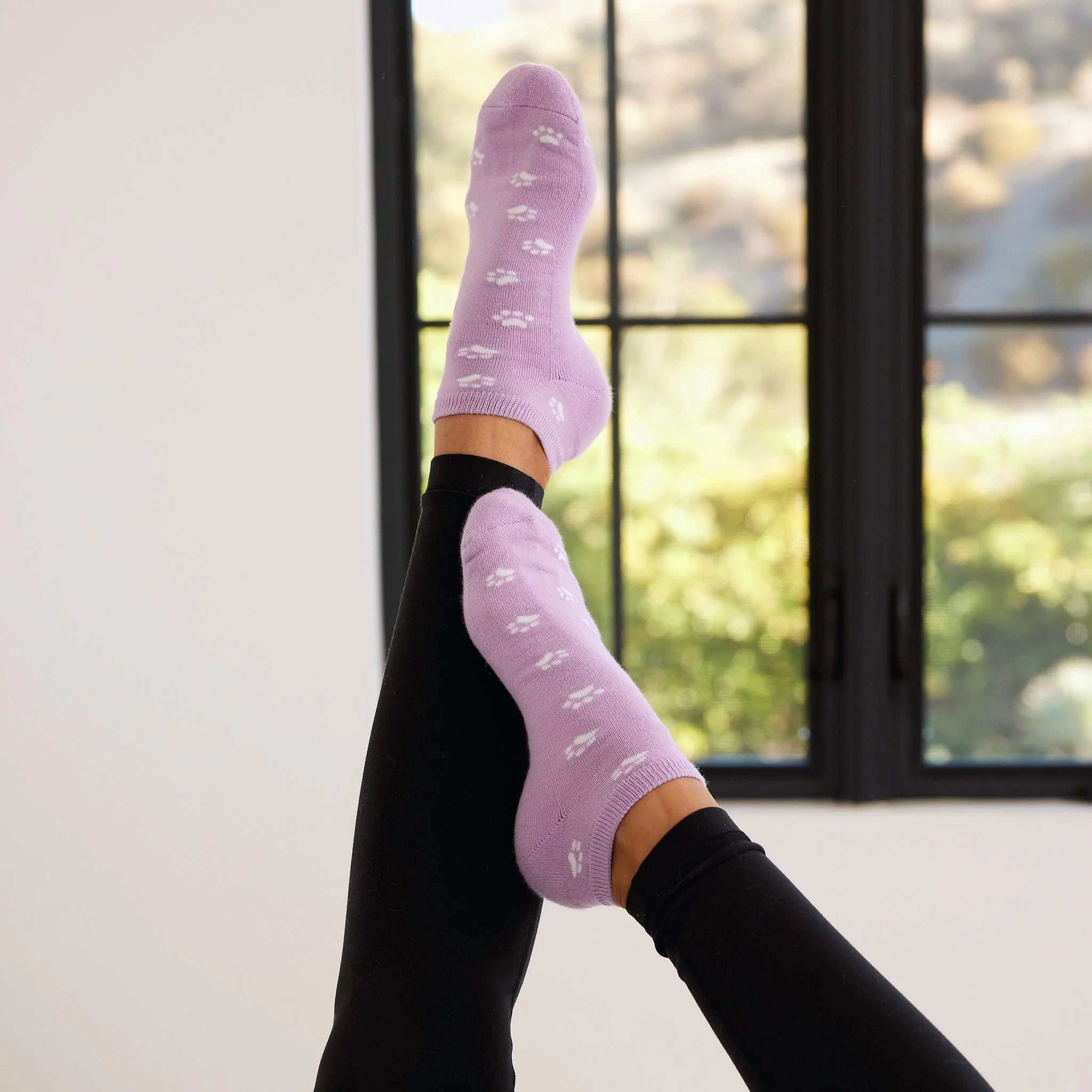 Socks that Save Dogs - Image 4