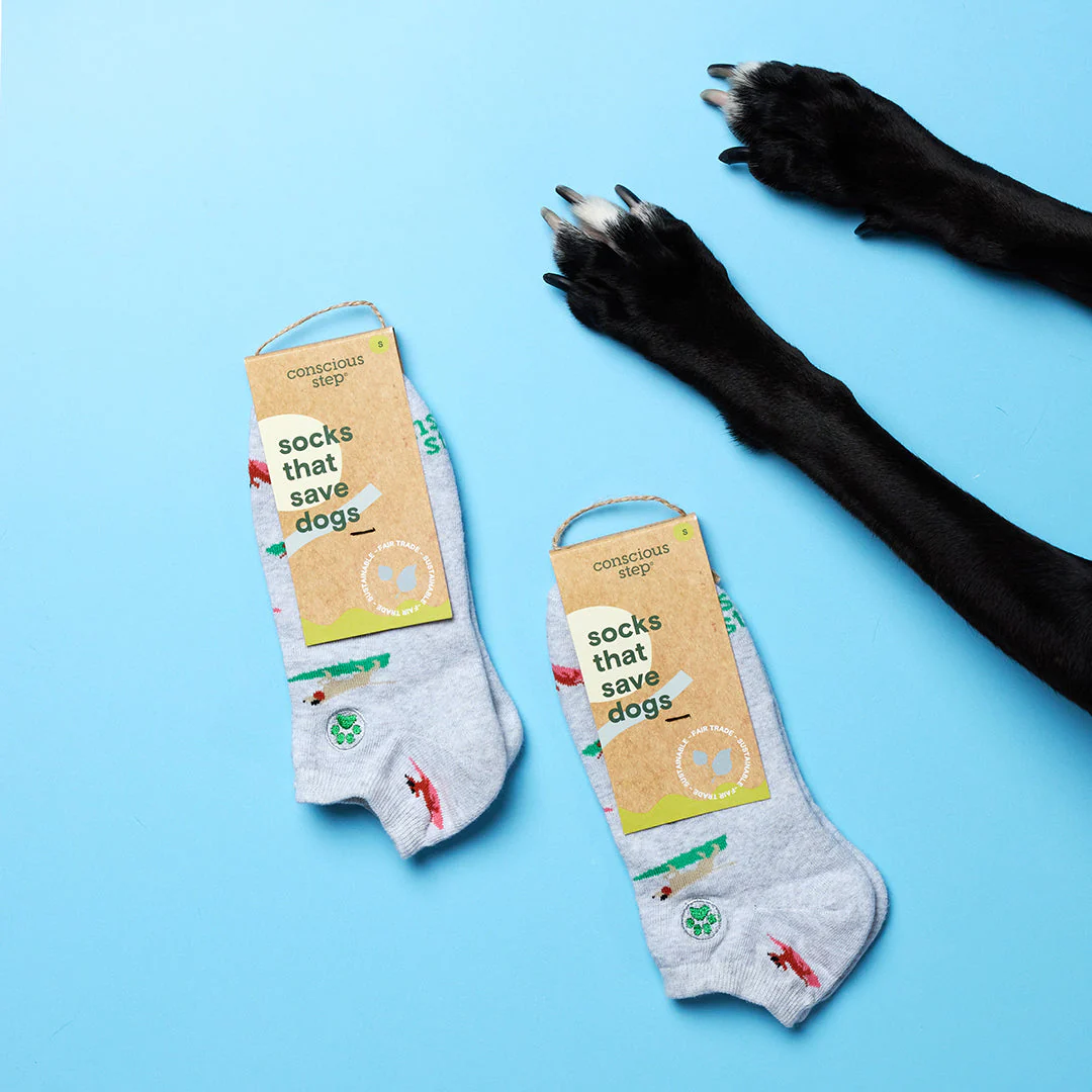 Socks that Save Dogs - Image 3