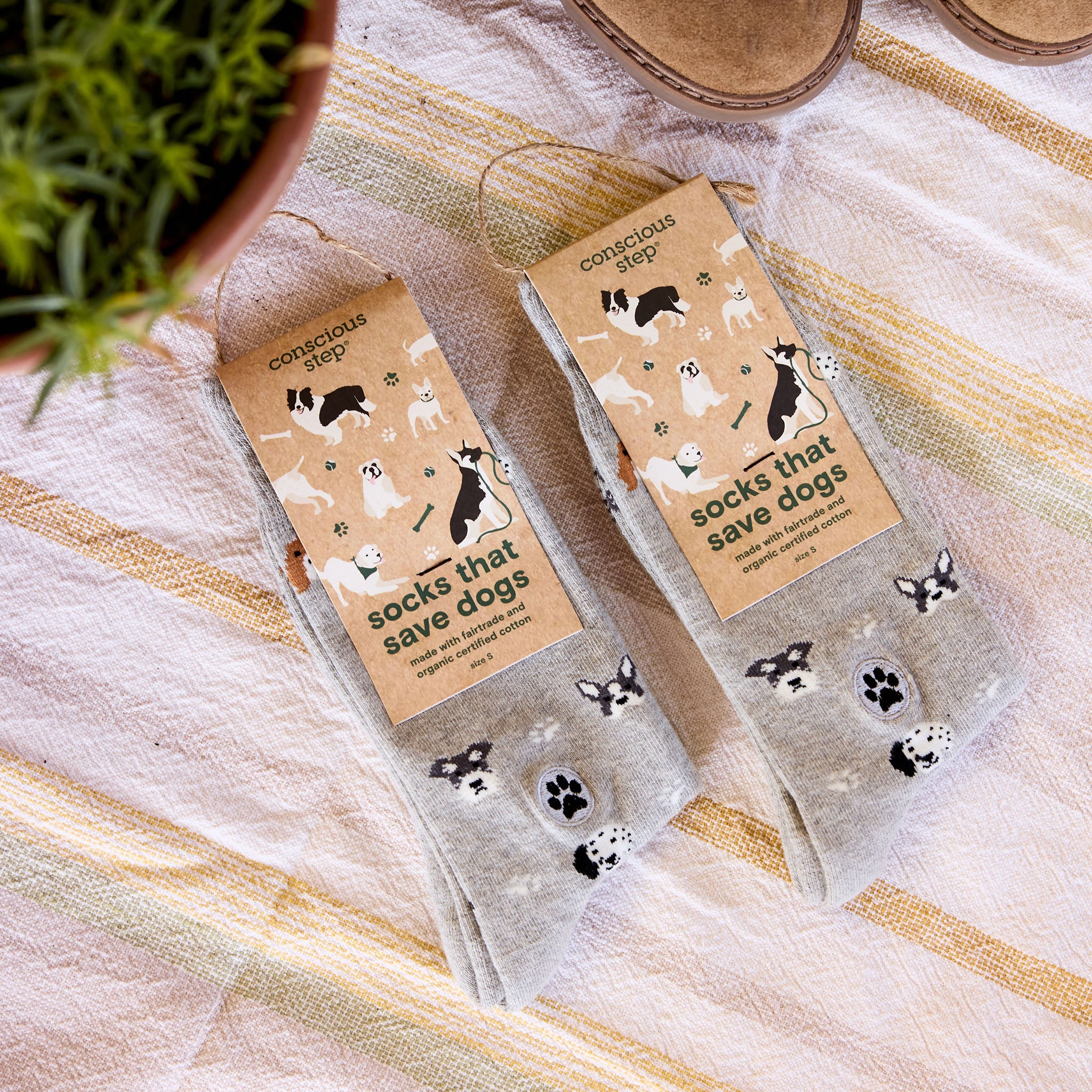 Socks that Save Dogs - Image 6