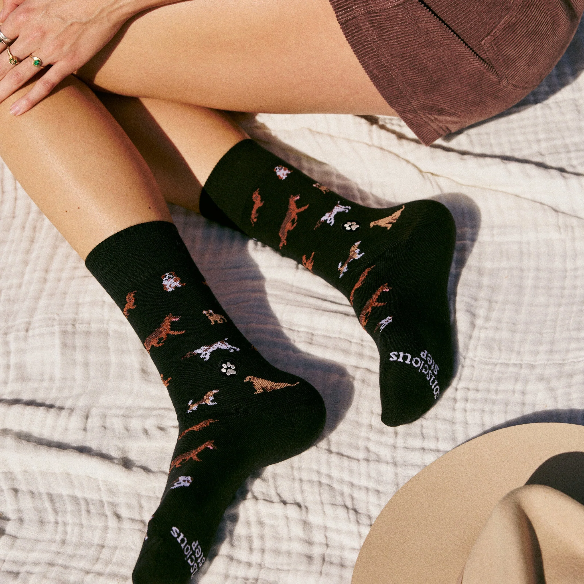 Socks that Save Dogs - Image 4