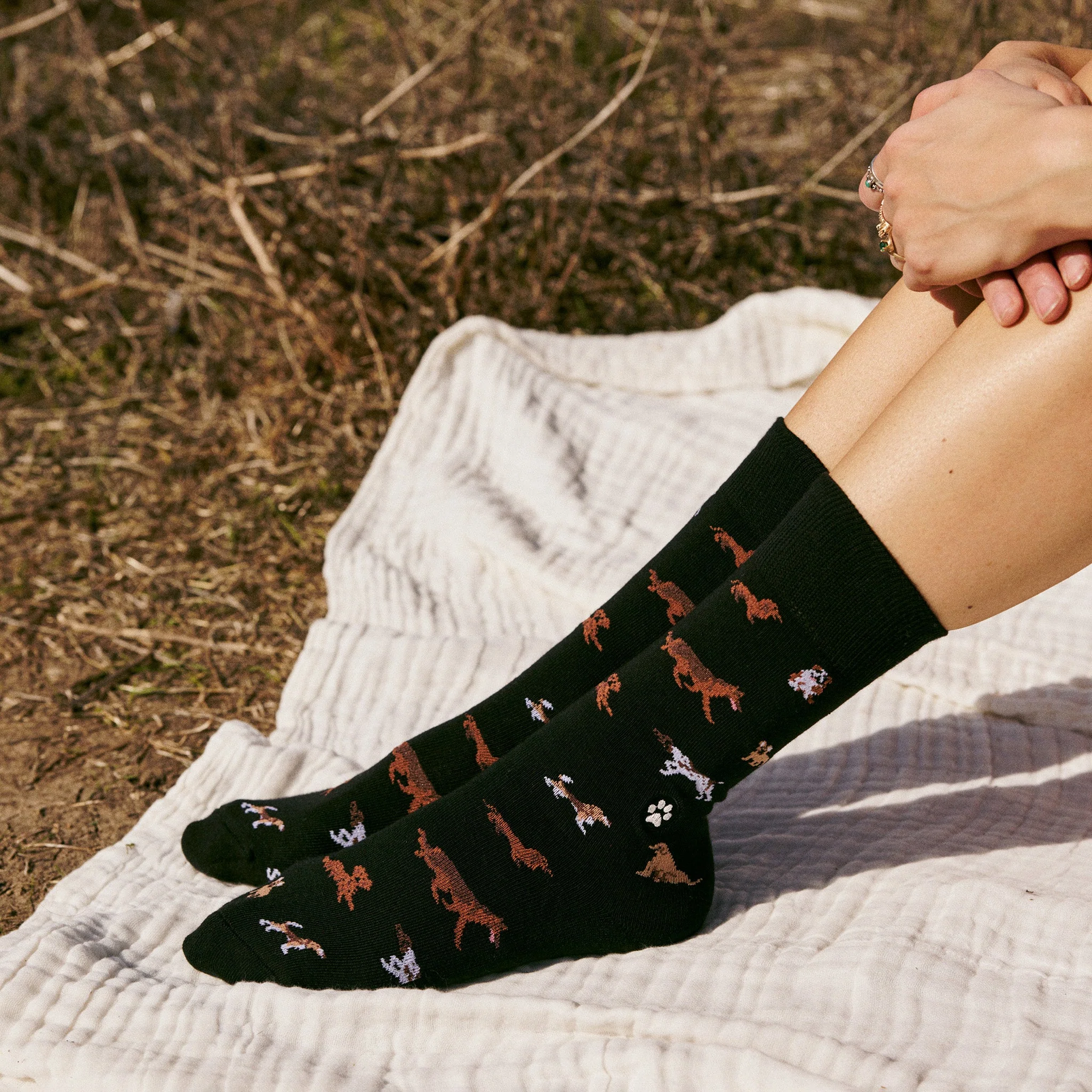 Socks that Save Dogs - Image 5