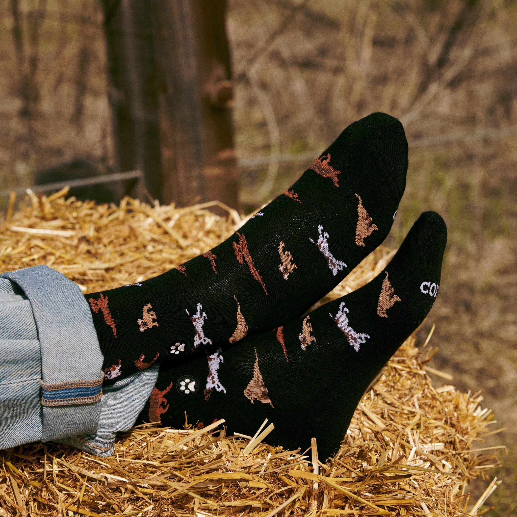 Socks that Save Dogs - Image 6