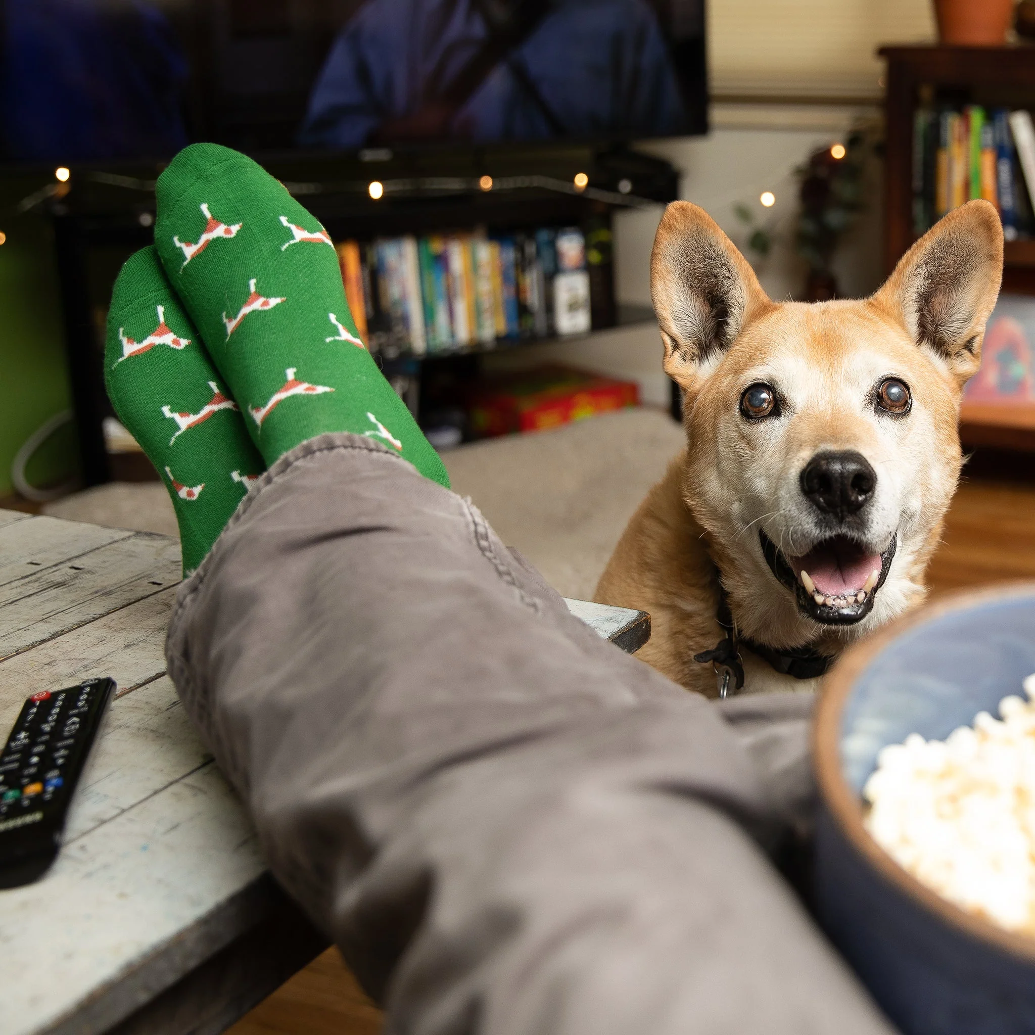 Socks that Save Dogs - Image 4