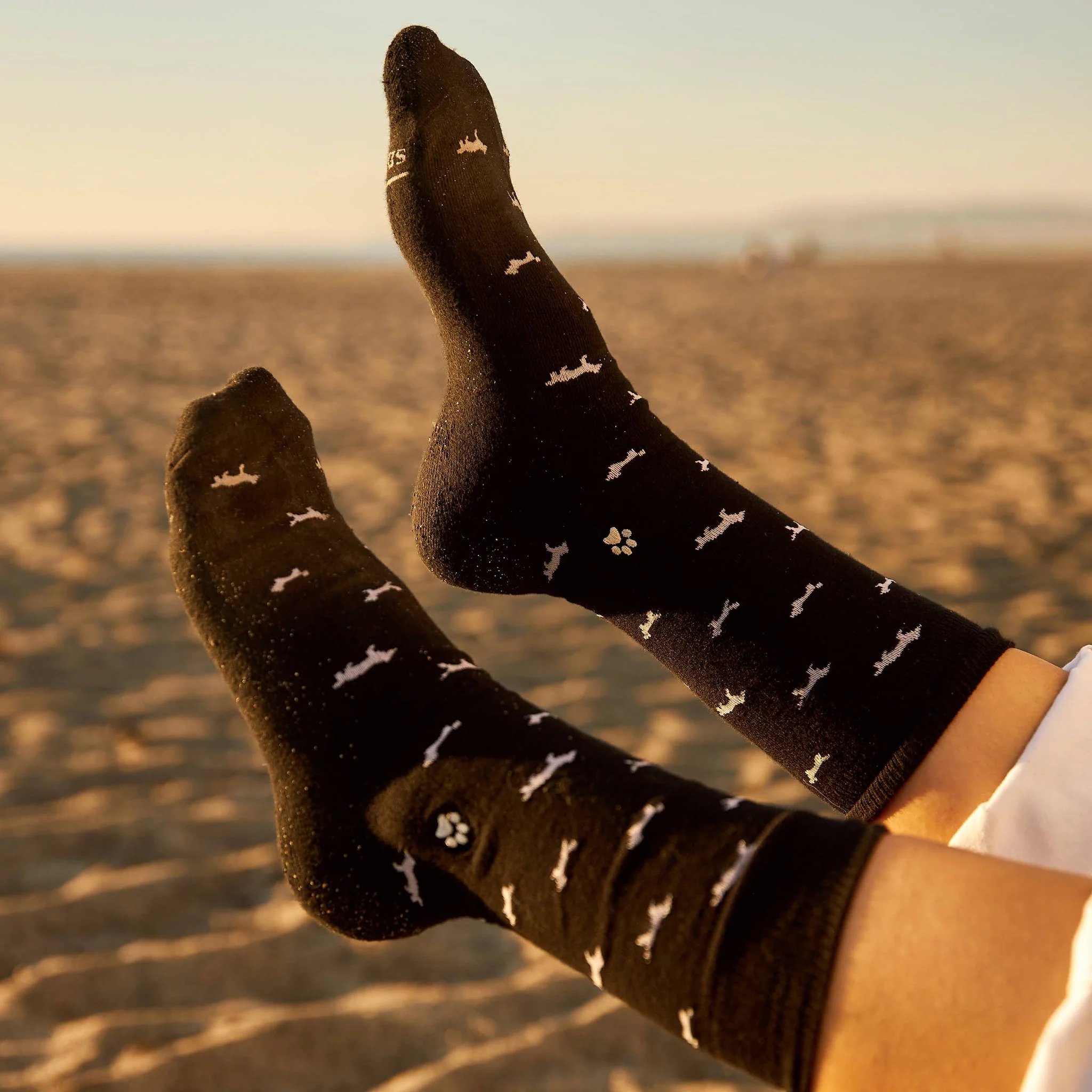 Socks that Save Dogs - Image 4
