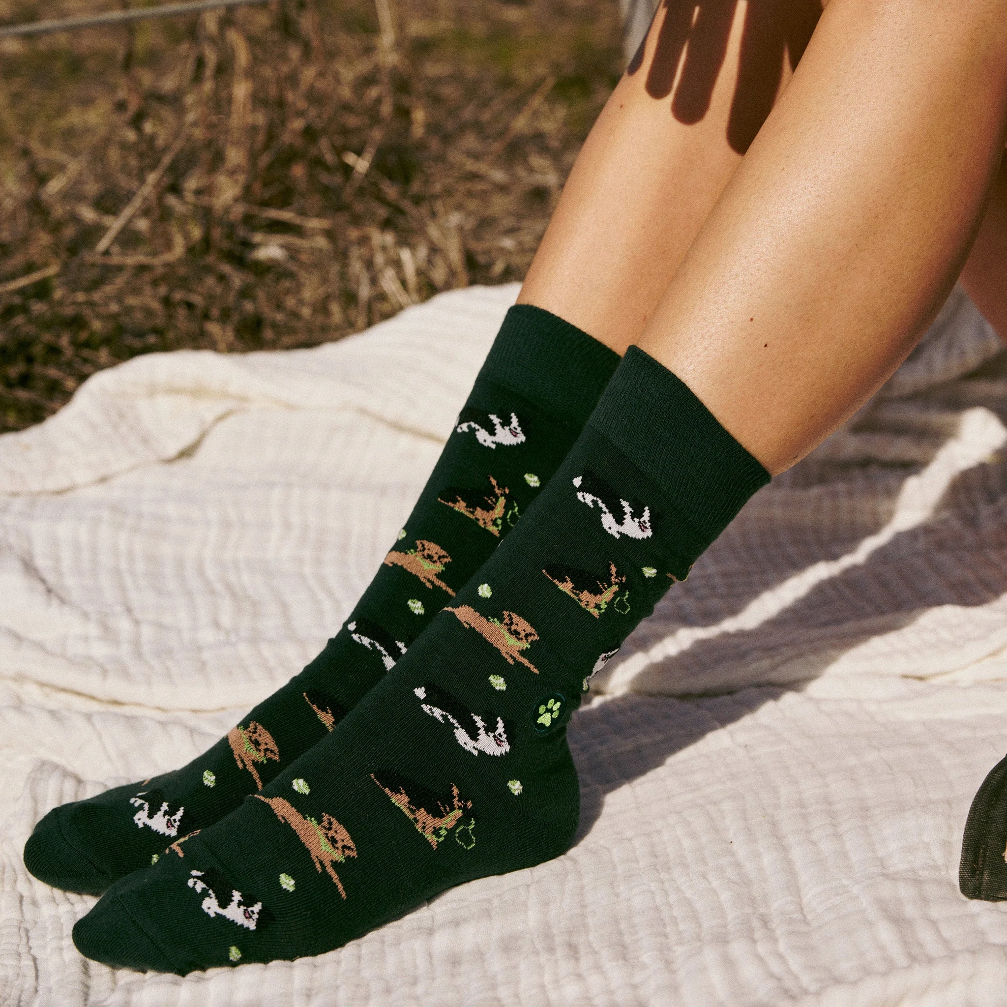 Socks that Save Dogs - Image 4