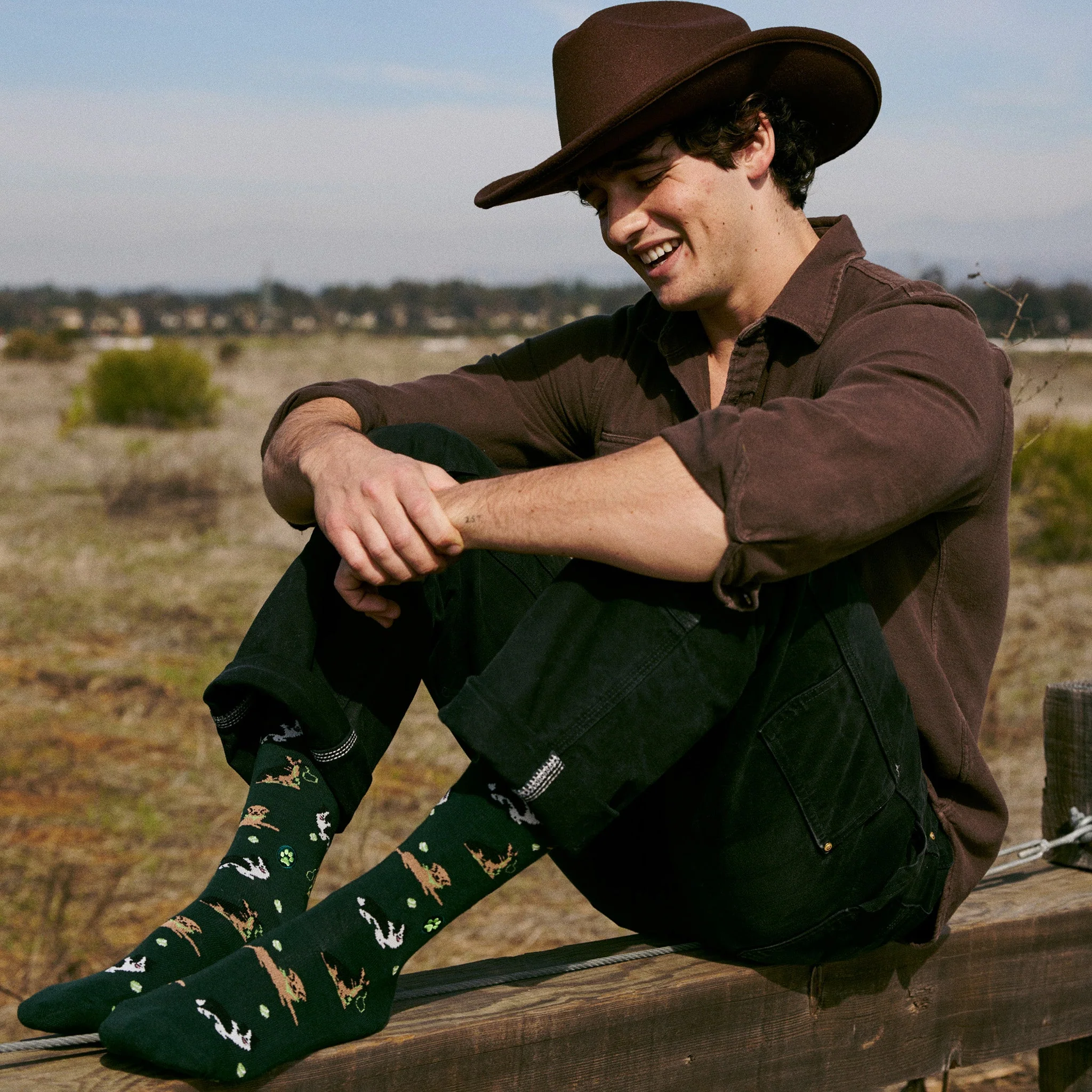 Socks that Save Dogs - Image 5