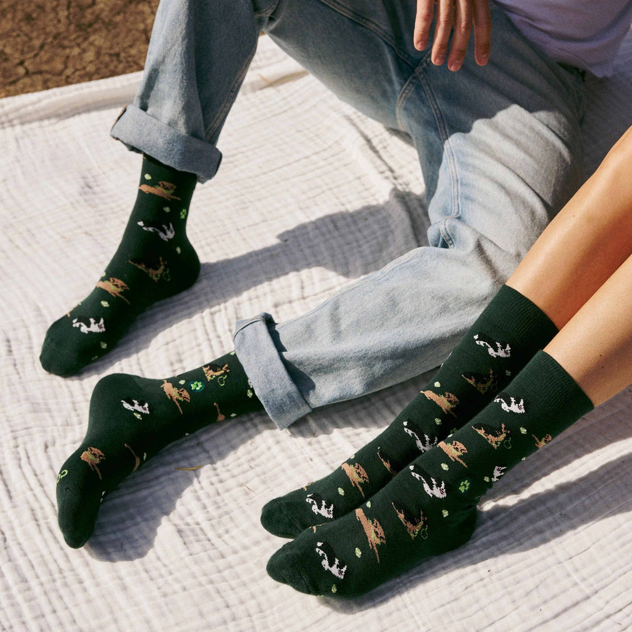 Socks that Save Dogs - Image 6
