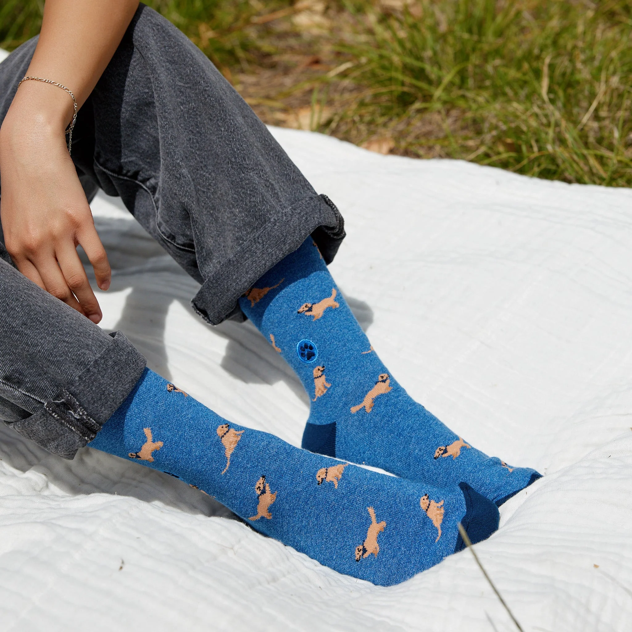 Socks that Save Dogs - Image 3