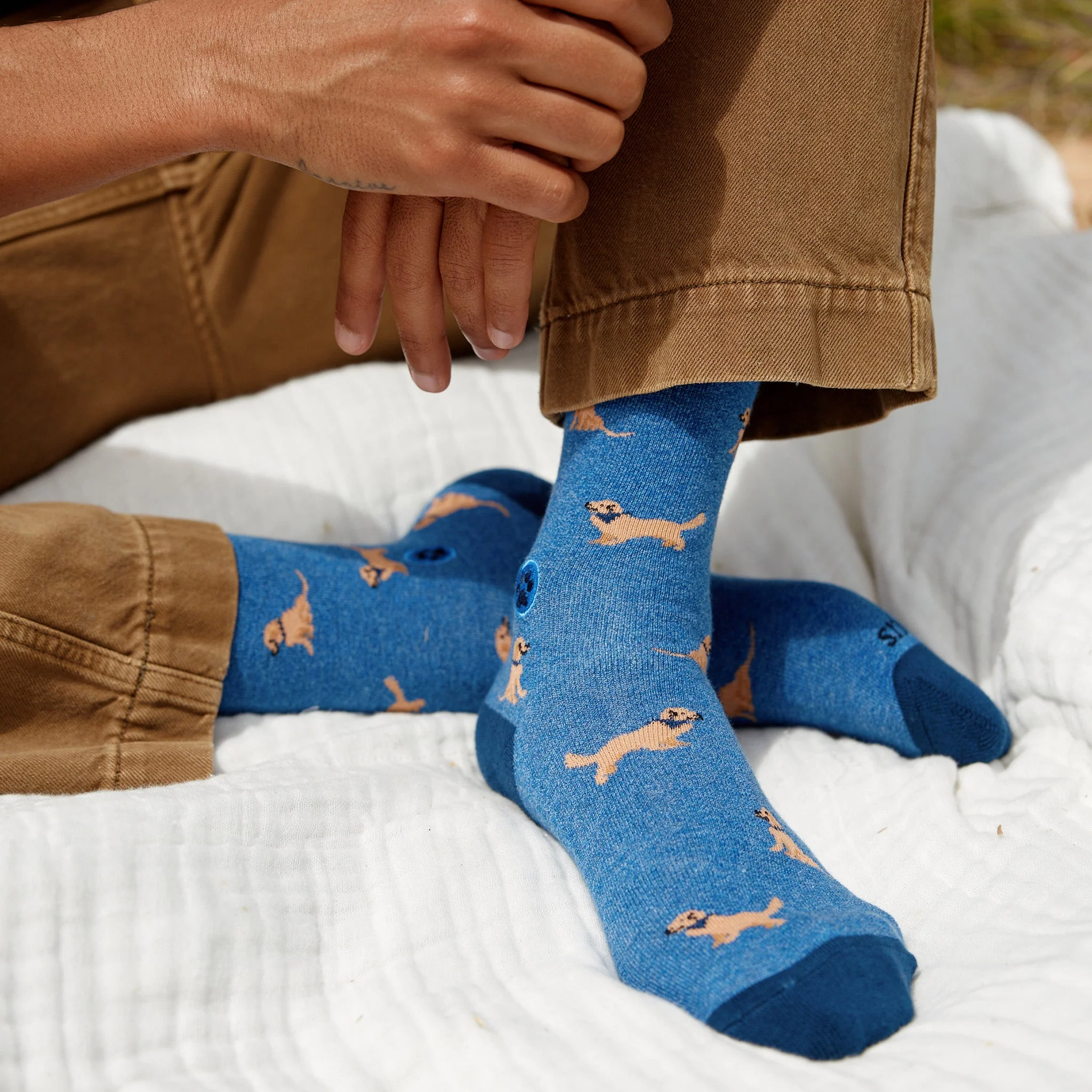 Socks that Save Dogs - Image 6