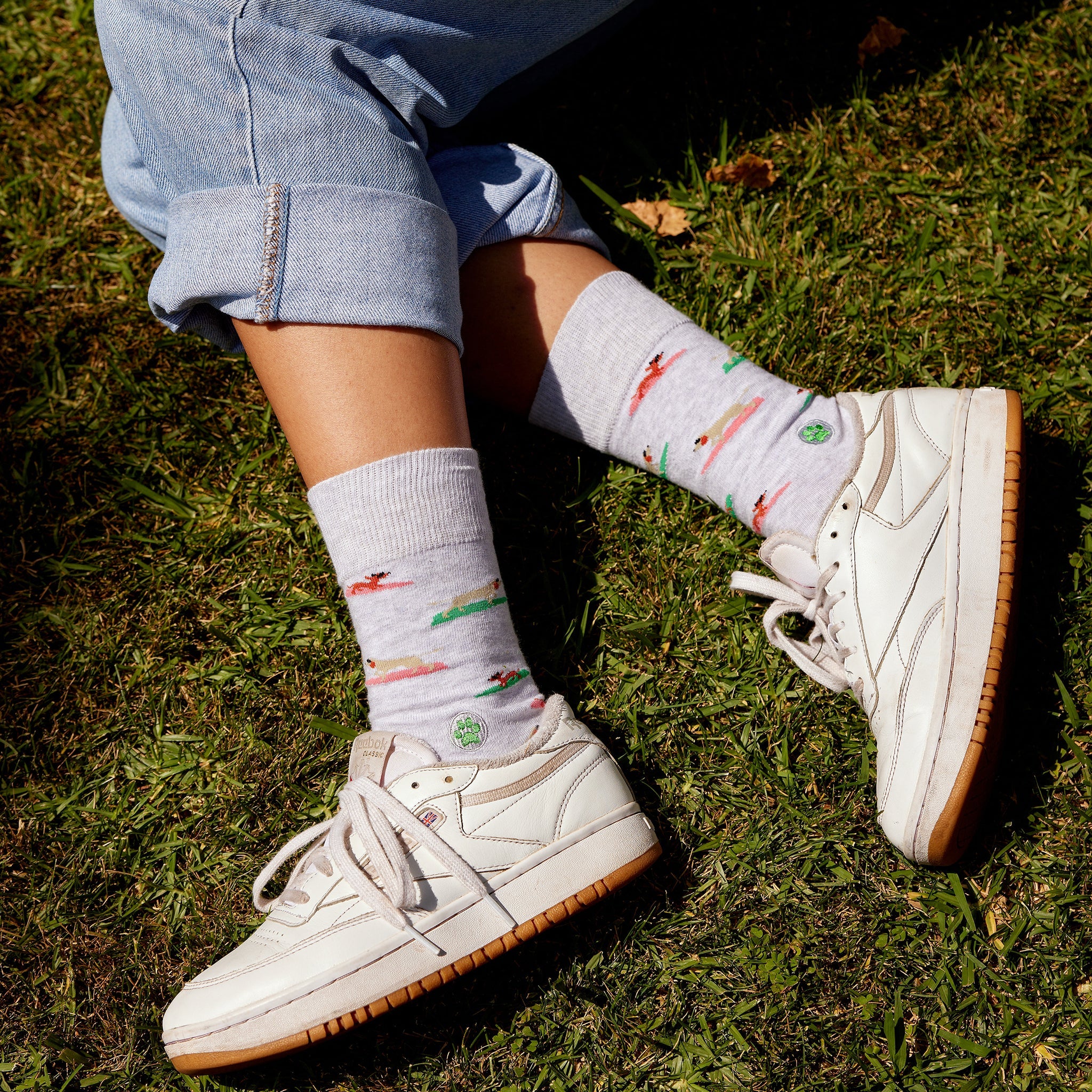 Socks that Save Dogs - Image 4