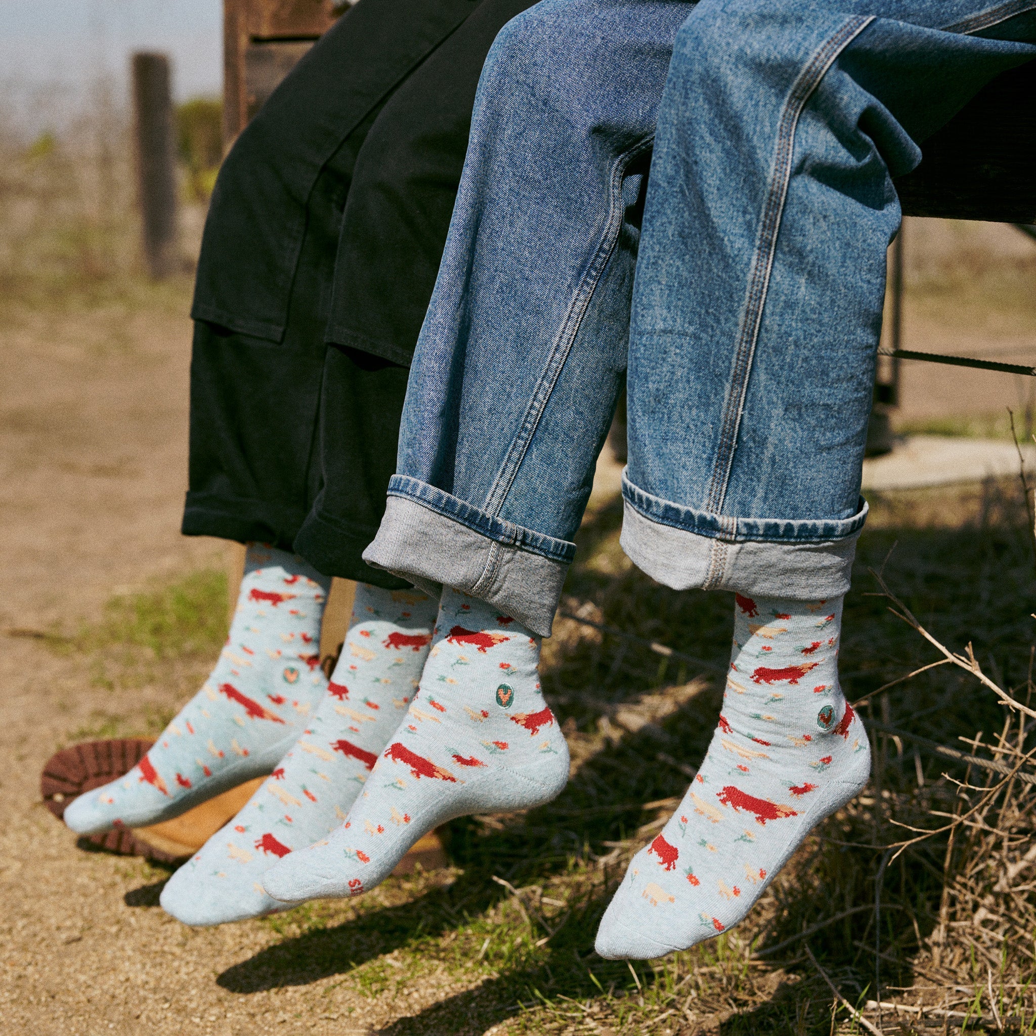 Socks that Save Farm Animals - Image 5