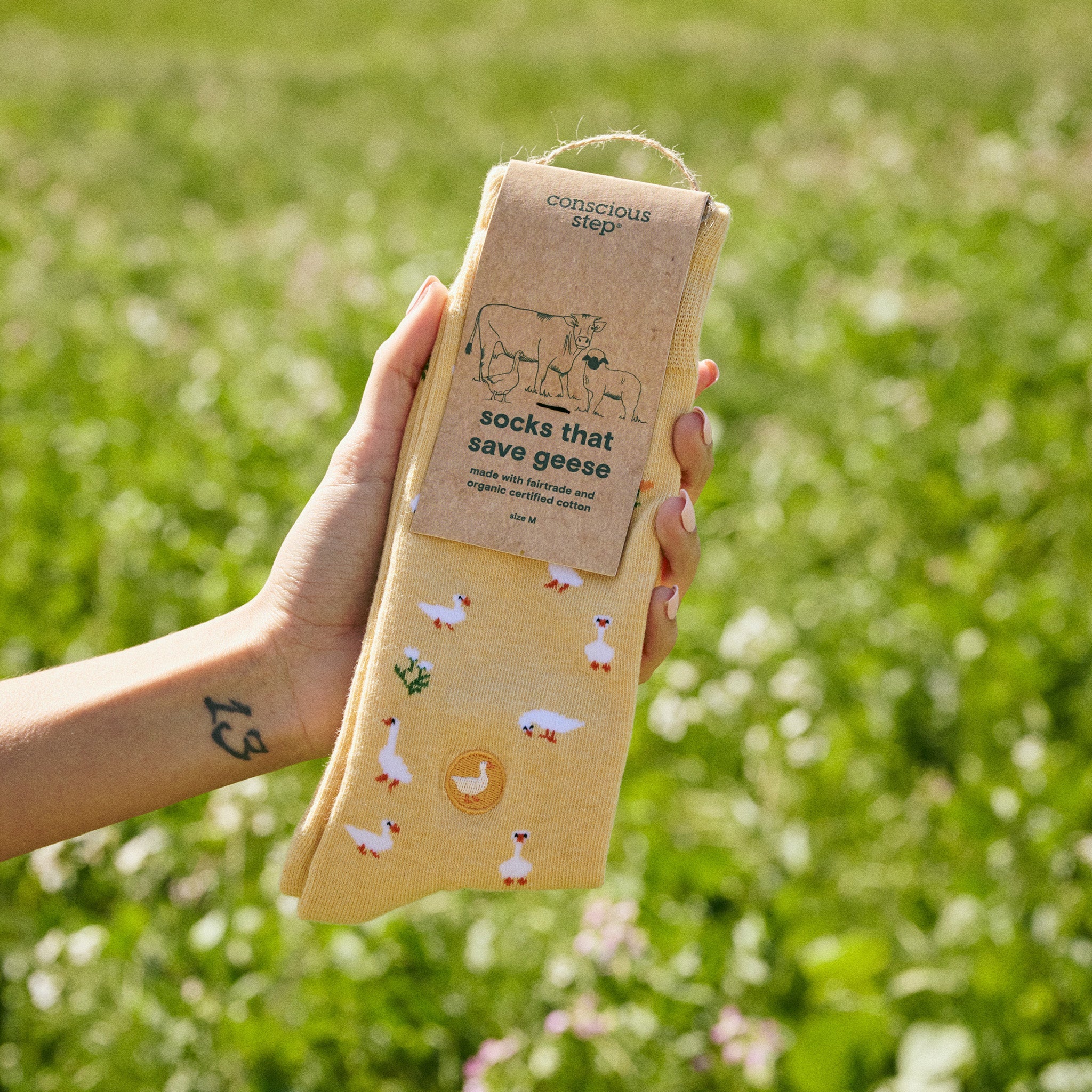 Socks that Save Geese - Image 5