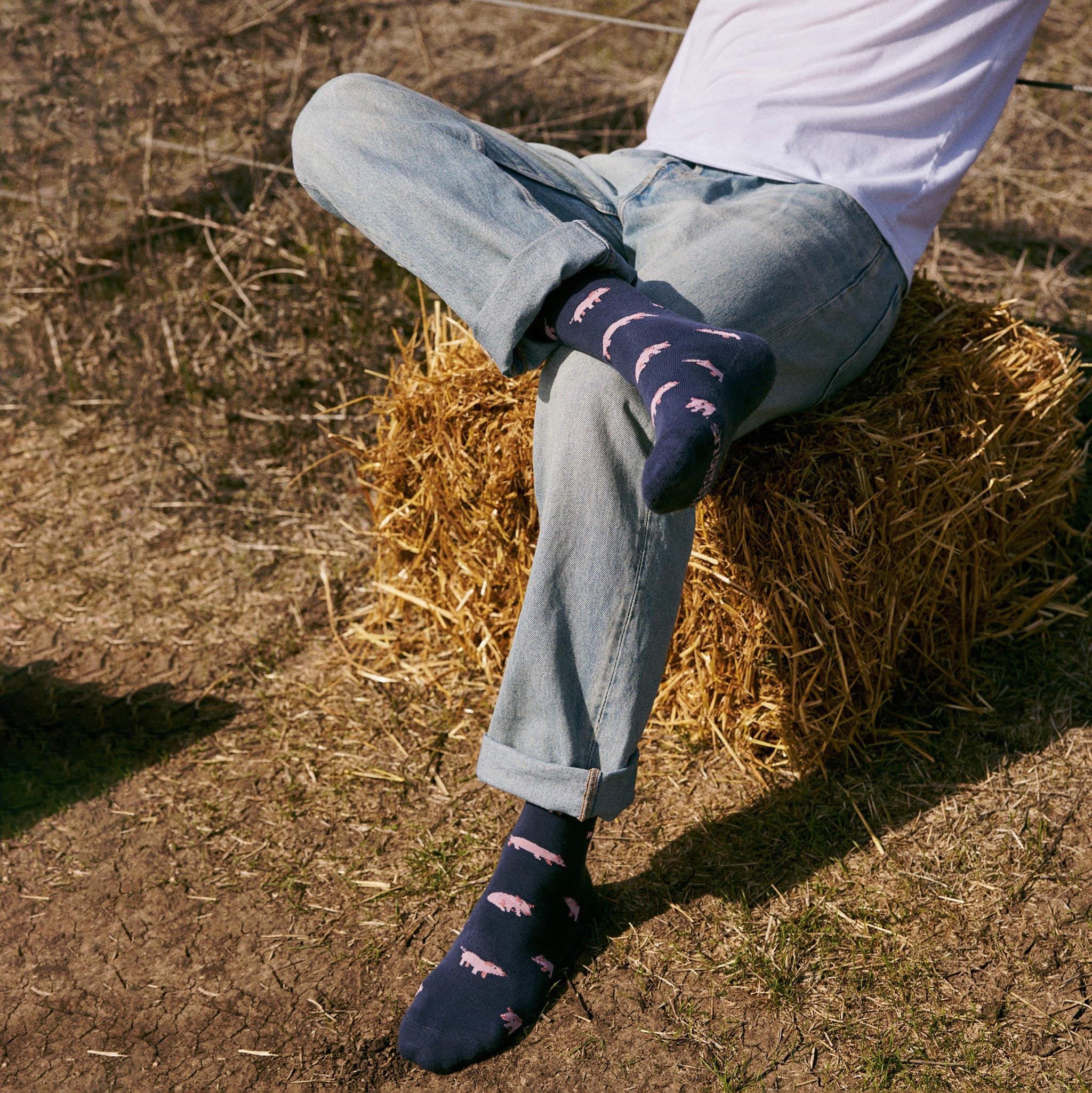 Socks that Save Pigs - Image 6