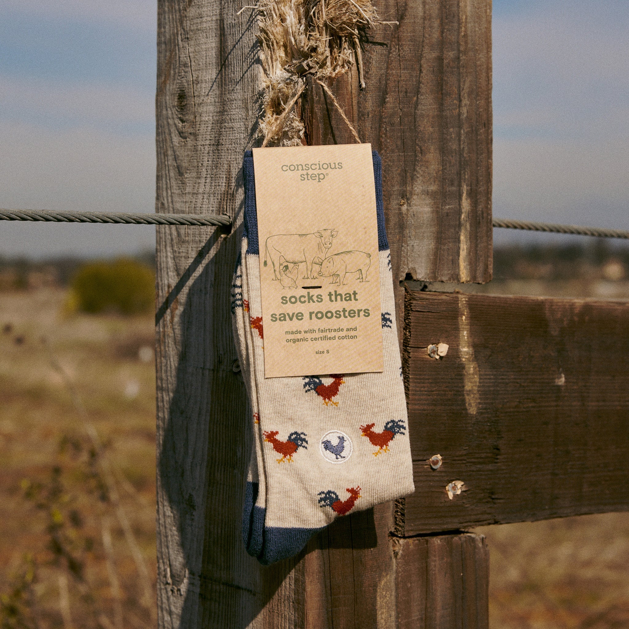 Socks that Save Roosters - Image 2