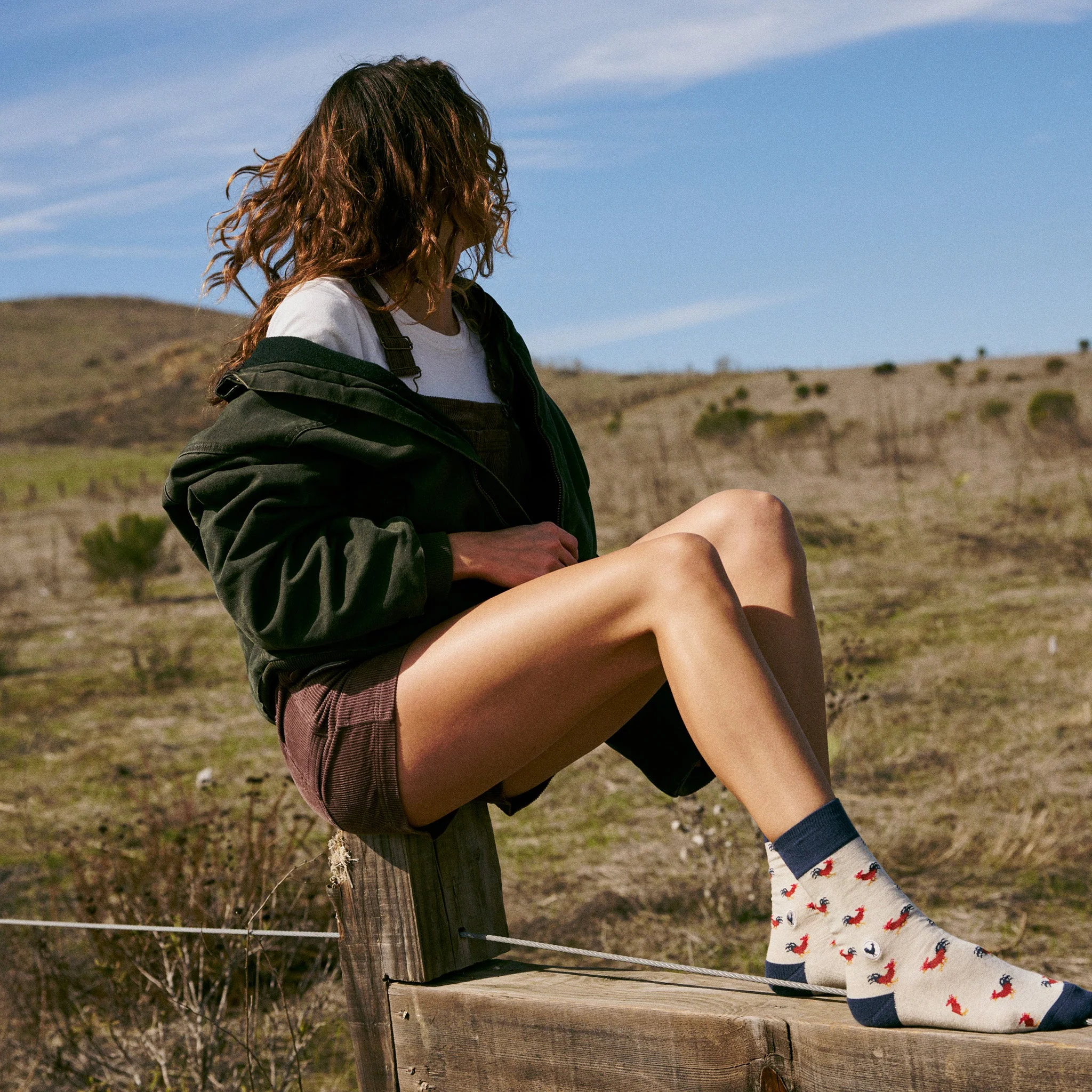 Socks that Save Roosters - Image 5