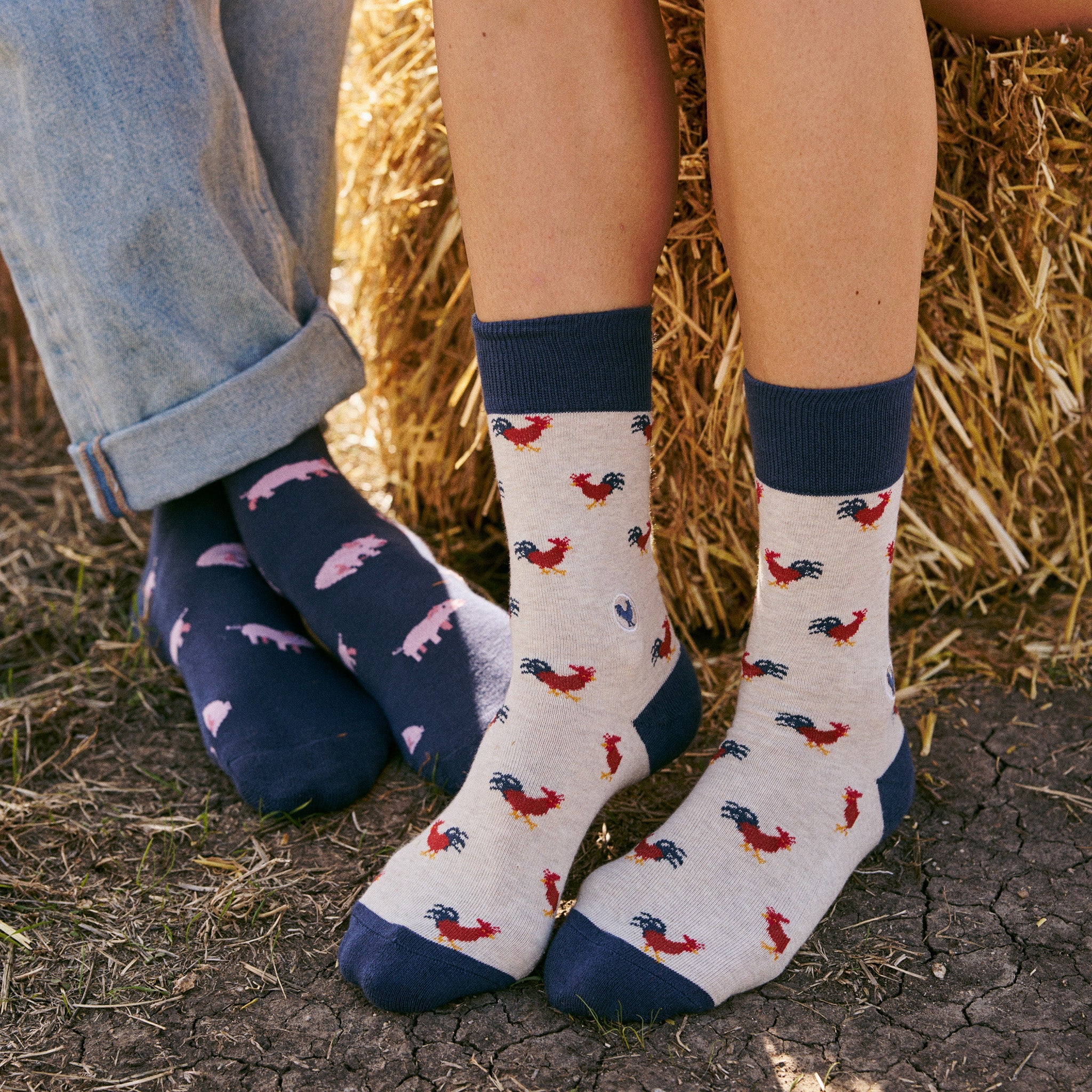 Socks that Save Roosters - Image 6