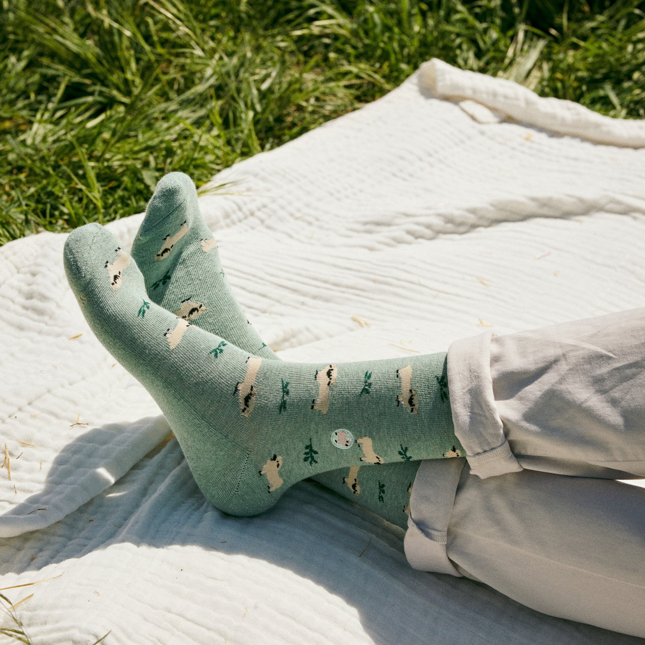 Socks that Save Sheep - Image 5
