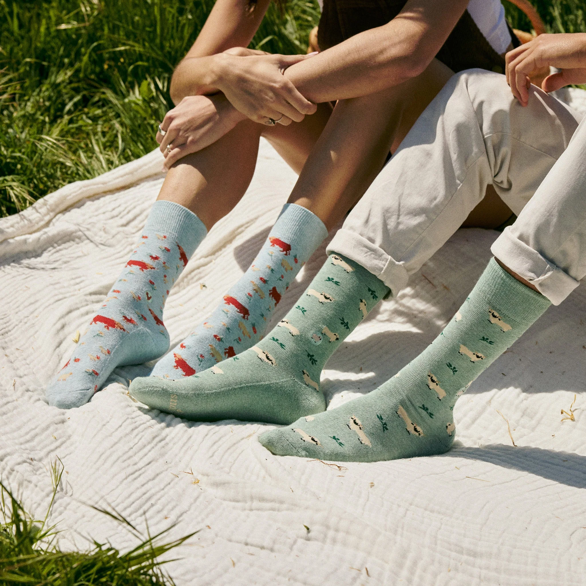 Socks that Save Sheep - Image 6