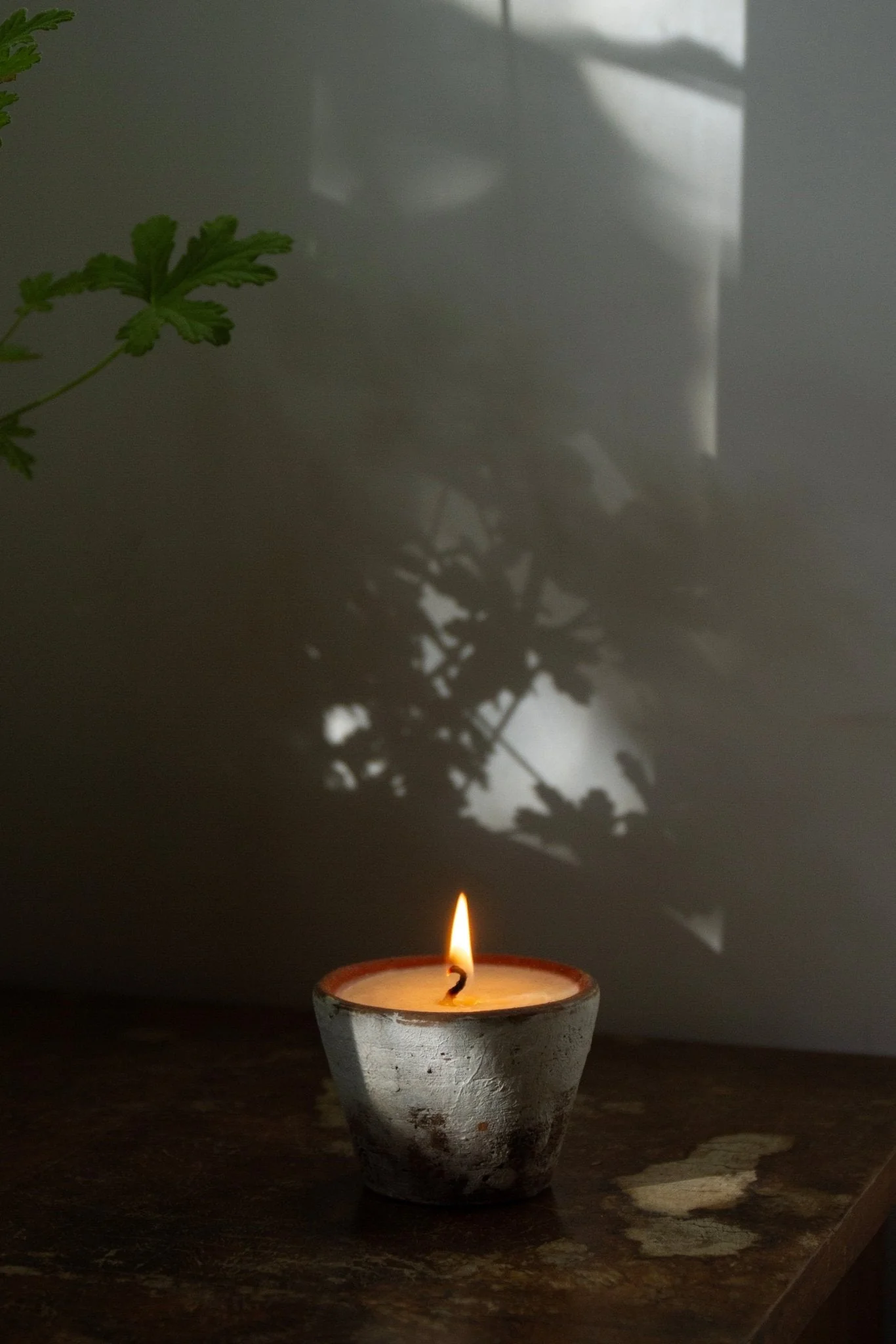 Souchong Debut Earthen Tallow Candle – Smoke-Brushed Terracotta Vessel 4 oz - Image 3