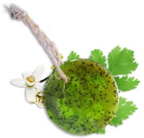 Speckless Soap Bar. Chia, Lemon, Parsley, and Coconut Oil. - Image 8