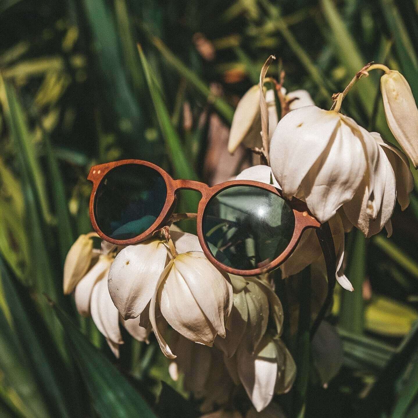 Stinson - Unisex Wooden Sunglasses - Image 7