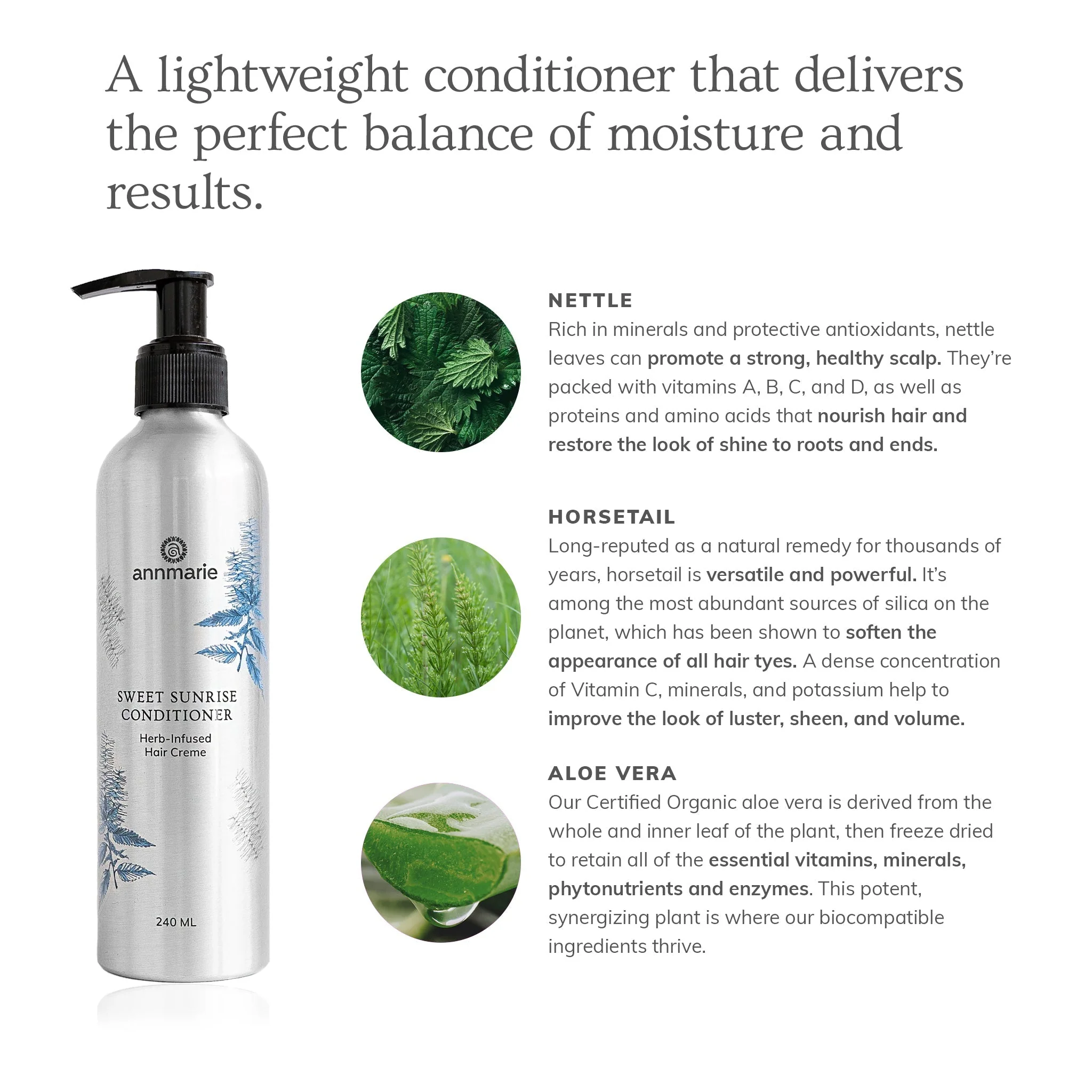Sweet Sunrise Conditioner (240ml) - Image 2