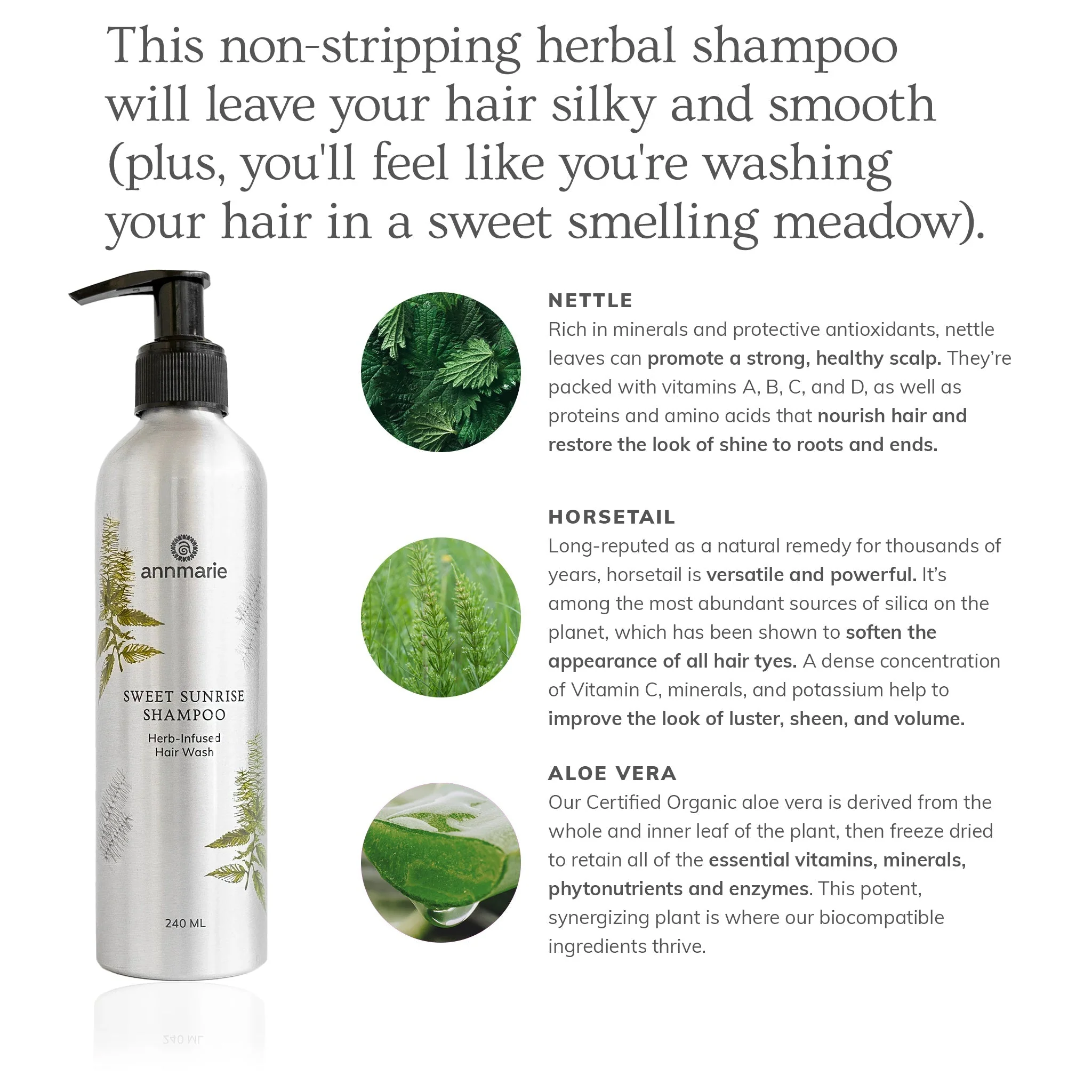 Sweet Sunrise Shampoo (240ml) - Image 2