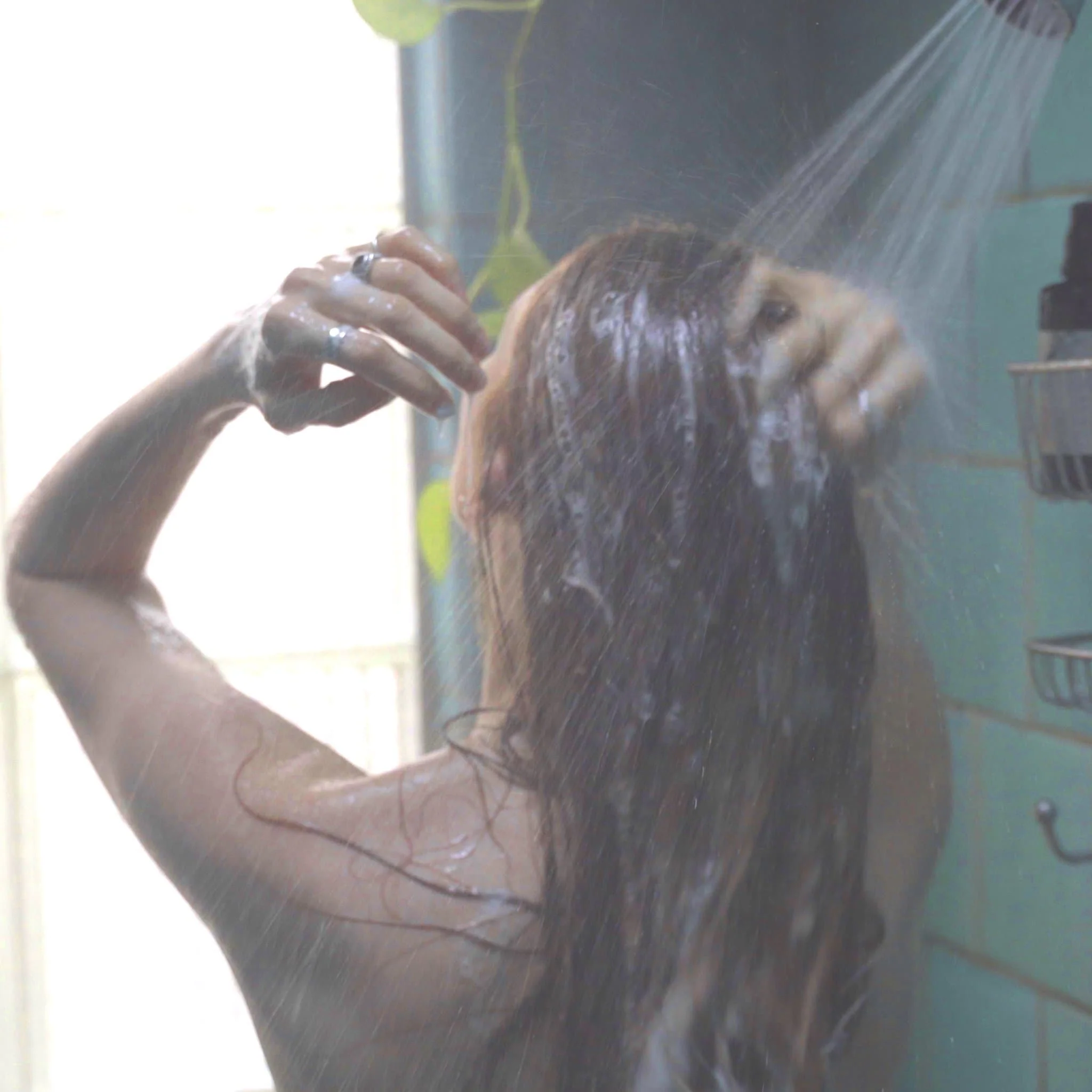 Sweet Sunrise Shampoo (240ml) - Image 9
