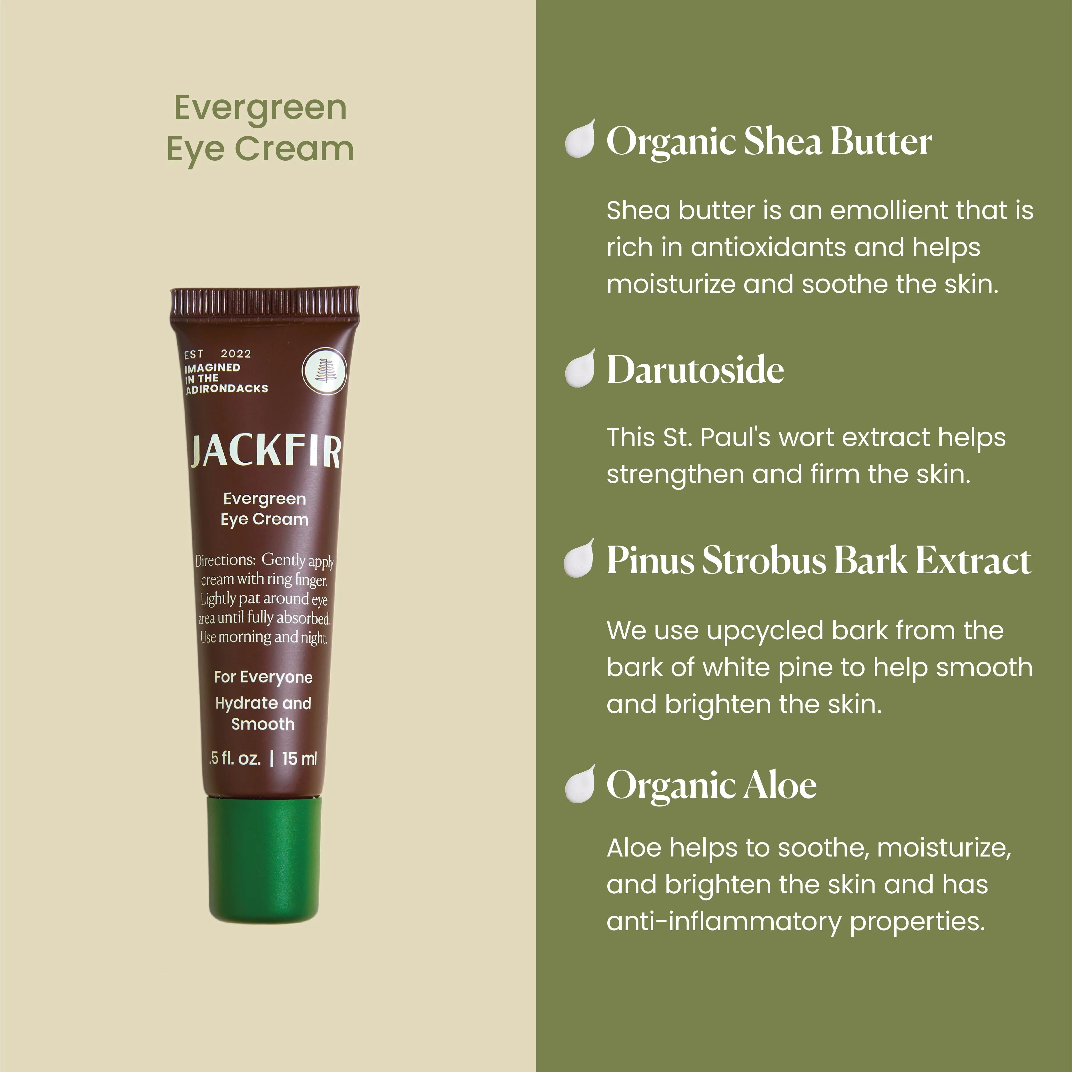 The Evergreen Eye Cream - Image 3