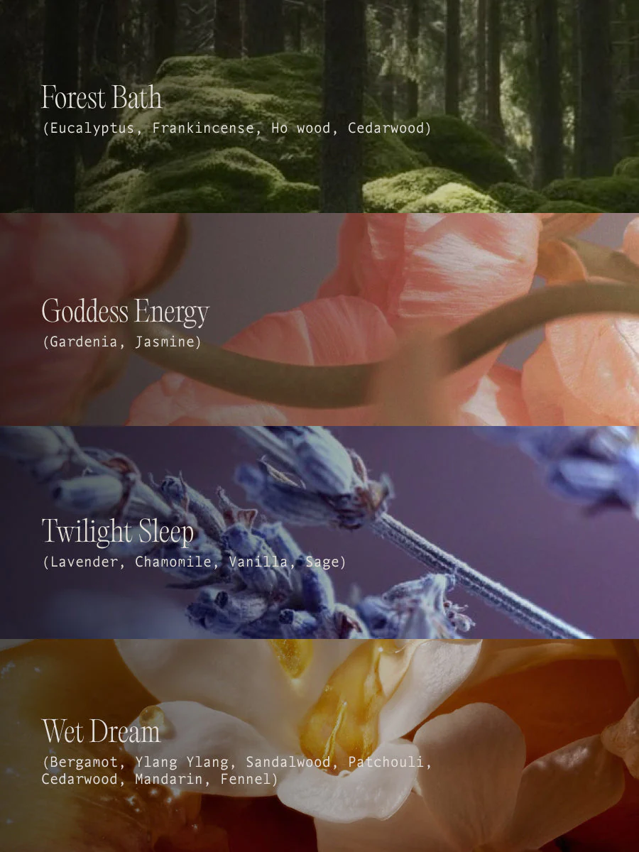 The Scent Discovery Set - Image 3