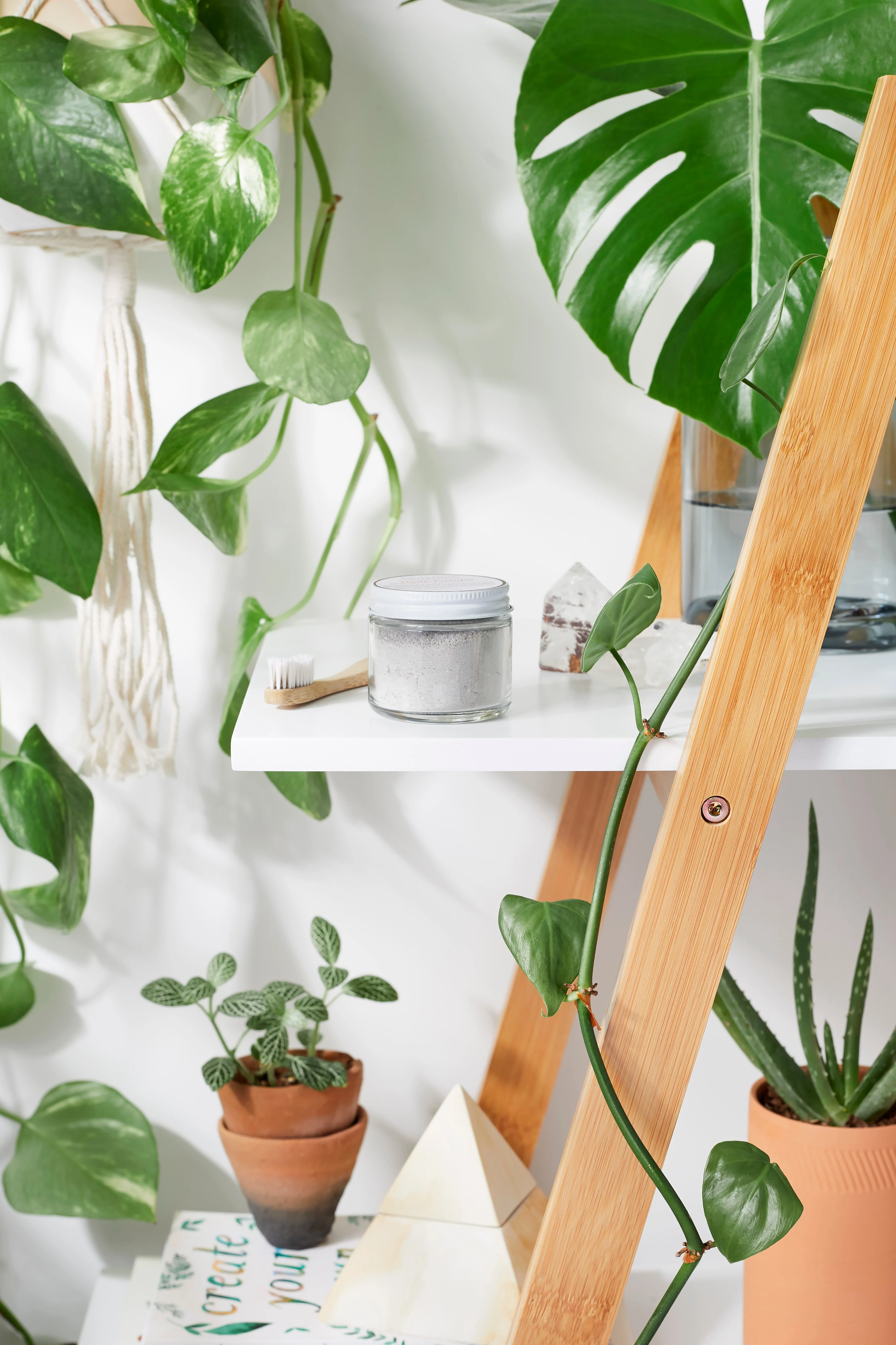Tooth Powder / Toothpaste / Organic Tooth Powder / Organic Tooth Paste/ Organic Toothpaste / Clay Tooth Paste / Remineralizing Tooth Powder - Image 2