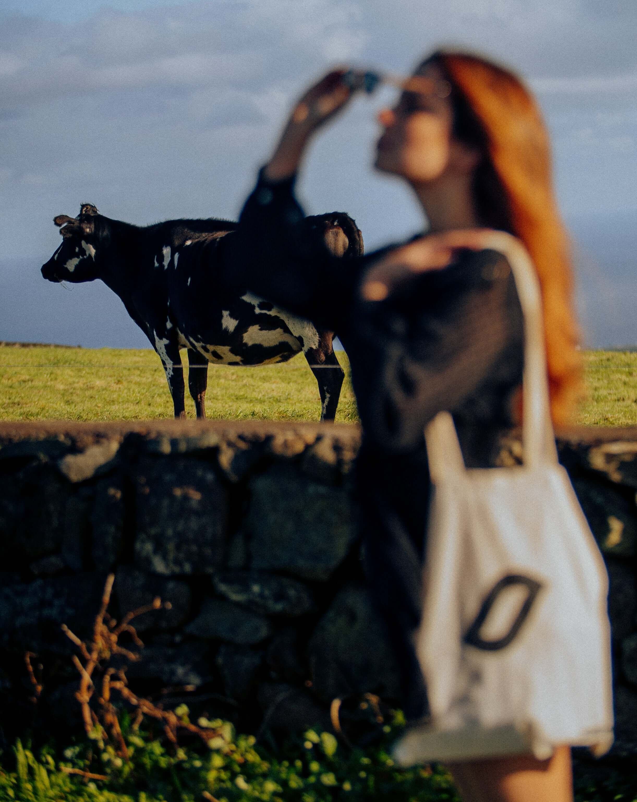 Tote Bag - Image 2
