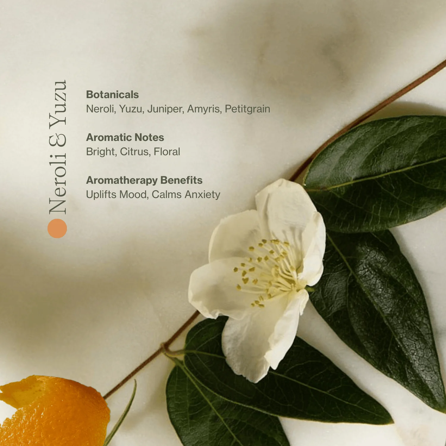 Vitamin C Body Oil - Image 10