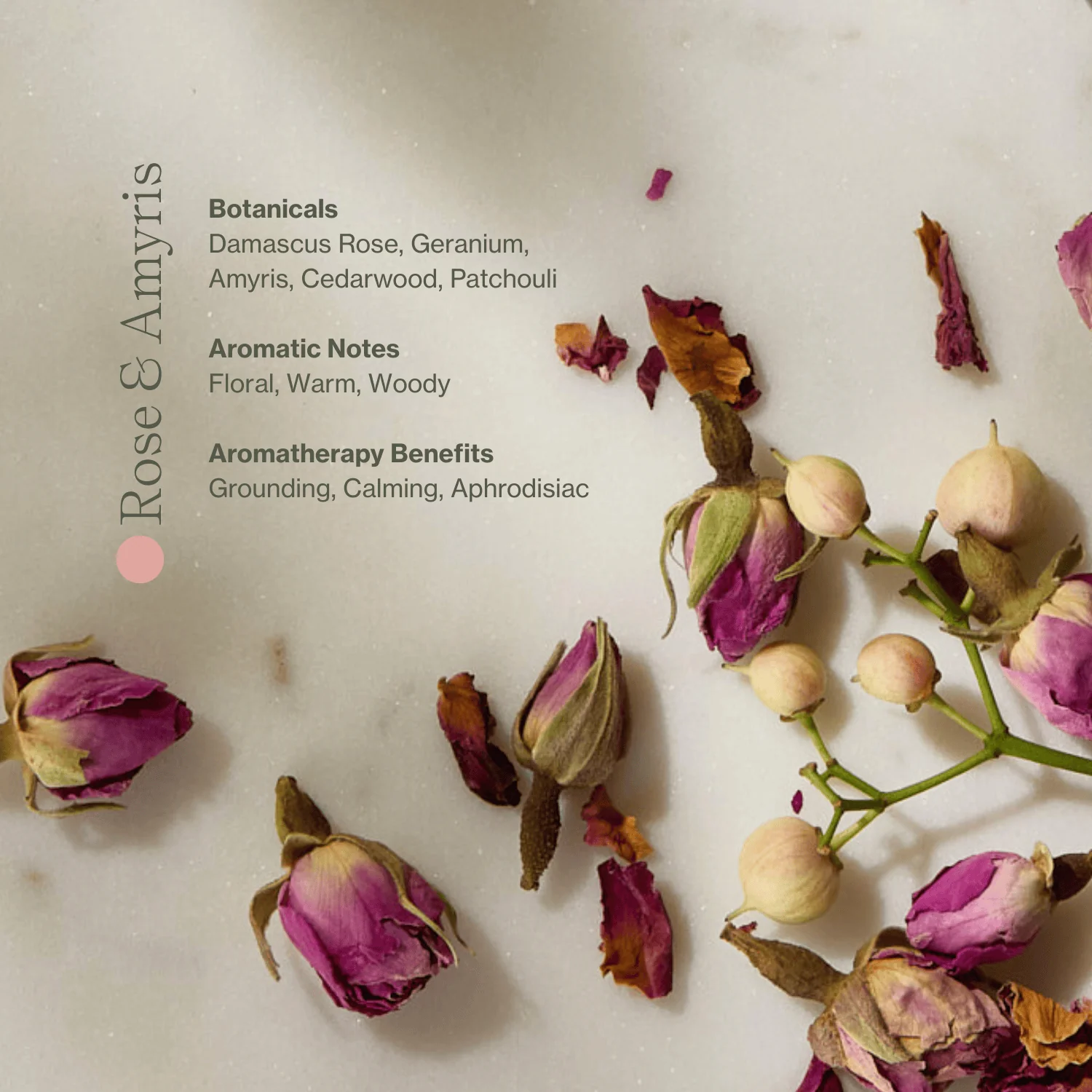 Vitamin C Body Oil - Image 3