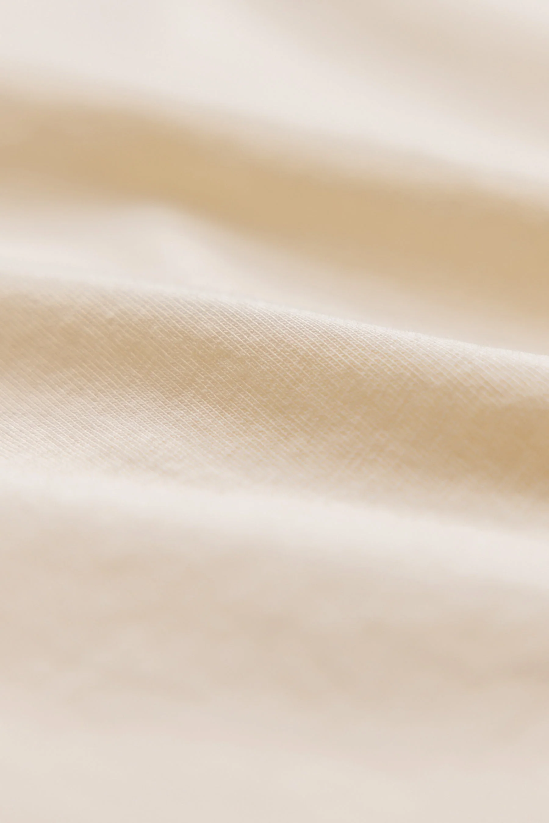 Organic Cotton T-Shirt - Image 17