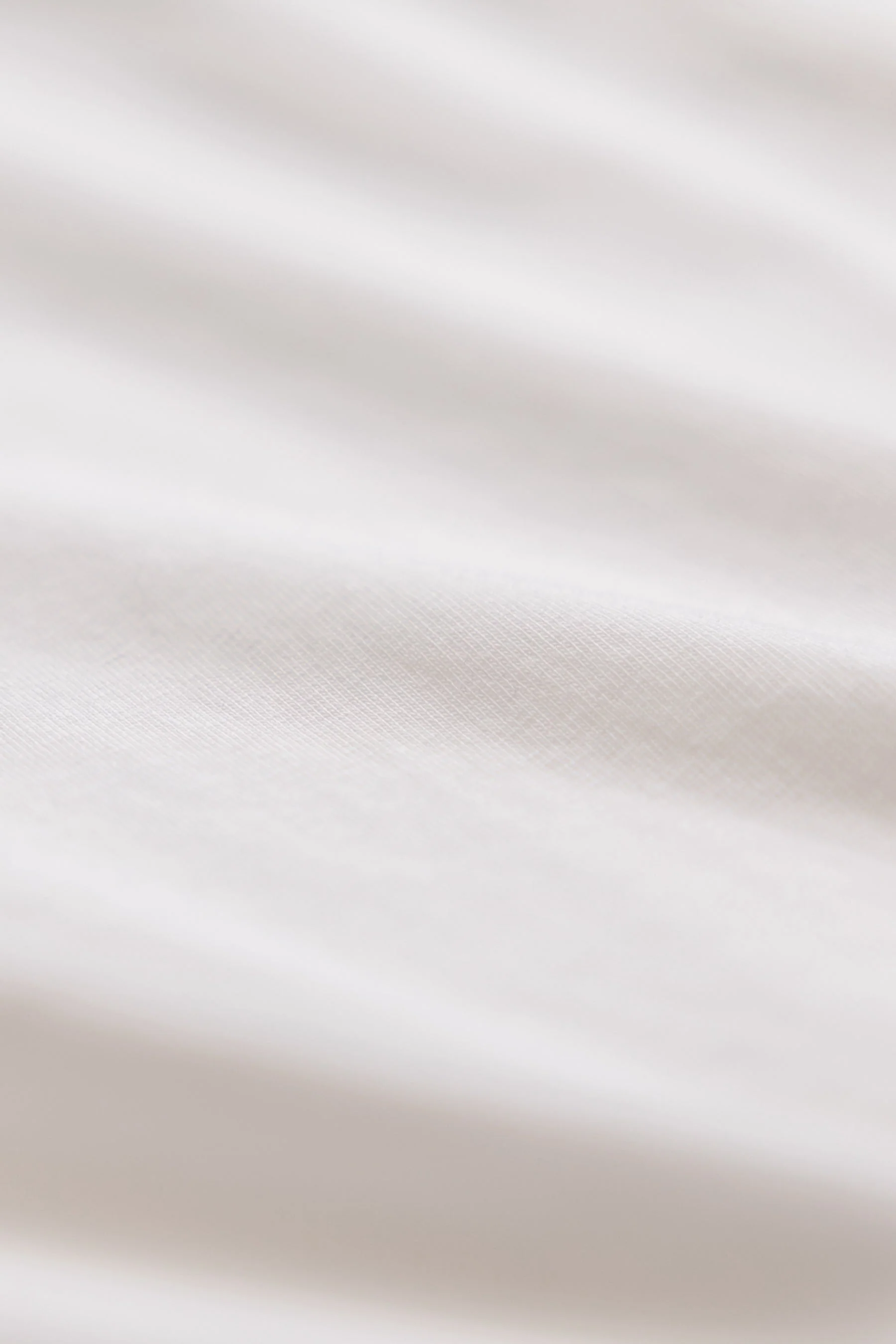 Organic Cotton T-Shirt - Image 7