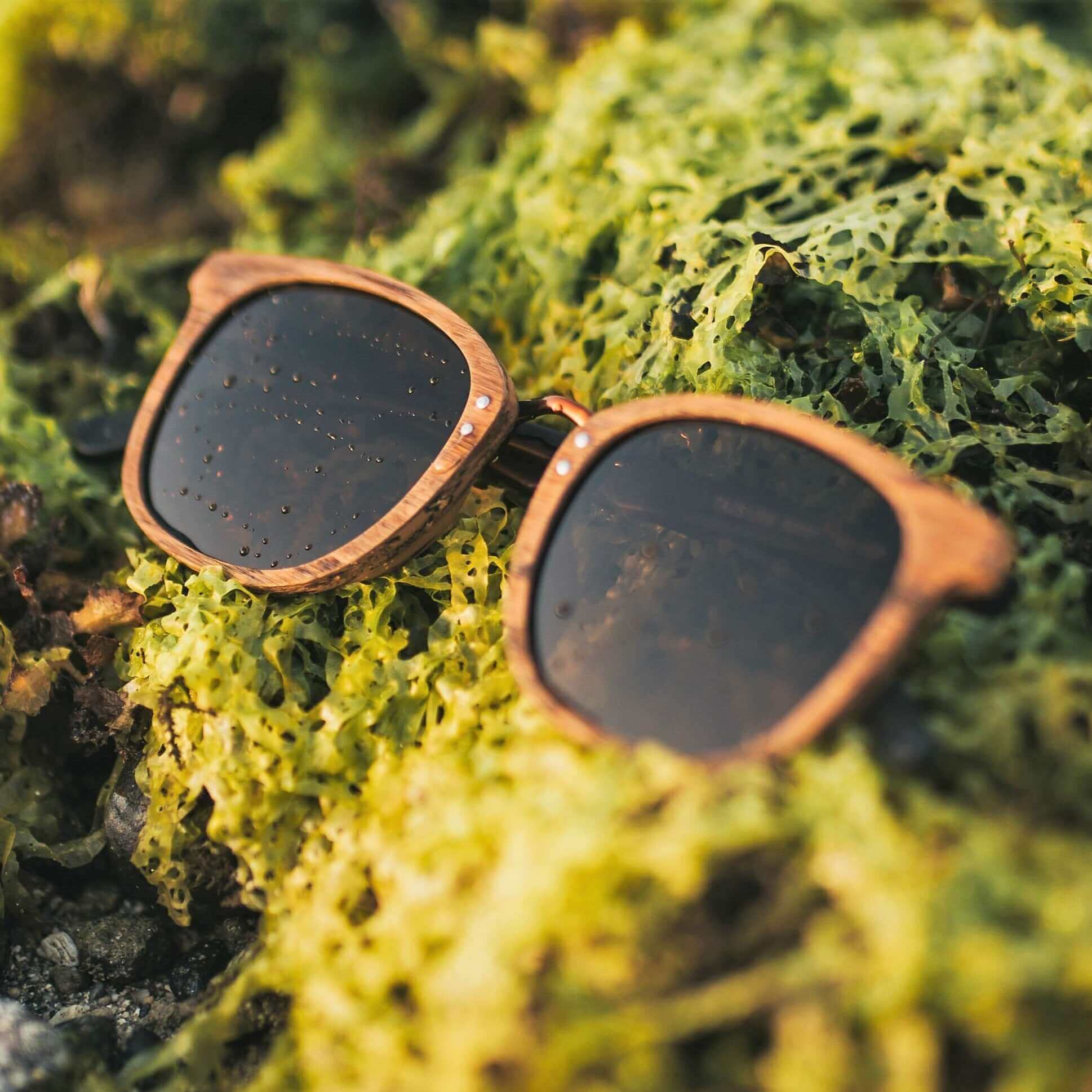 Woodrow - Wooden Sunglasses - Image 7