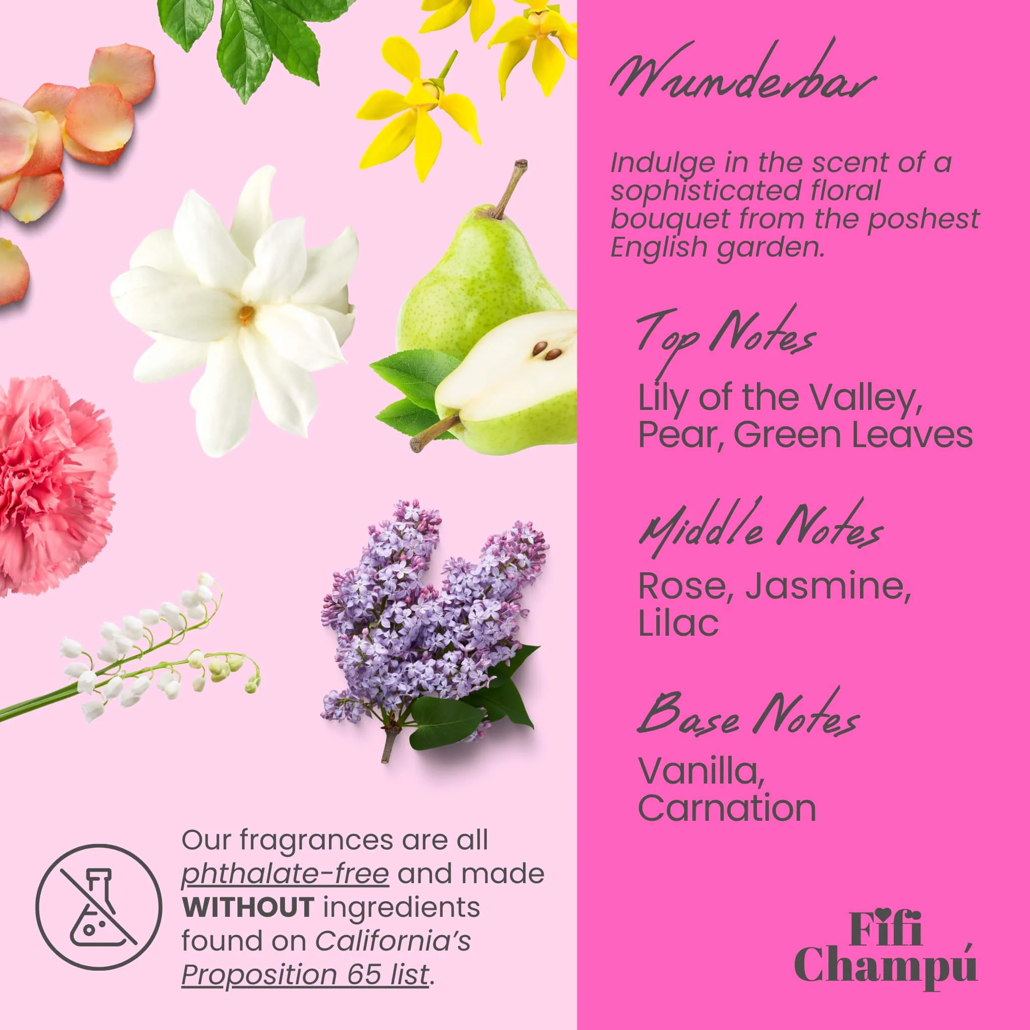 Wunderbar Conditioner Bar: Nourishing, Plant-Based Hydration - Image 4